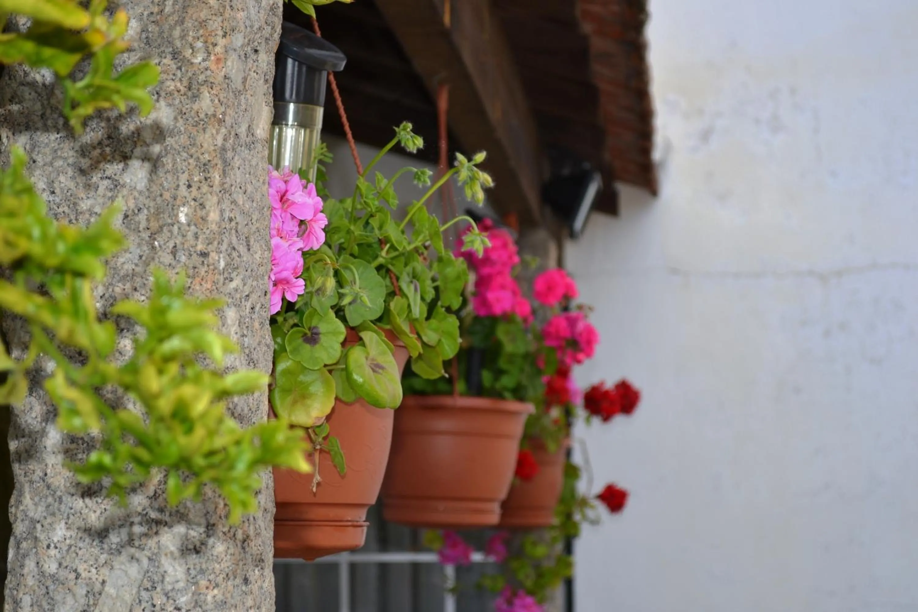 Balcony/Terrace in Our Lady of Mercy Villa