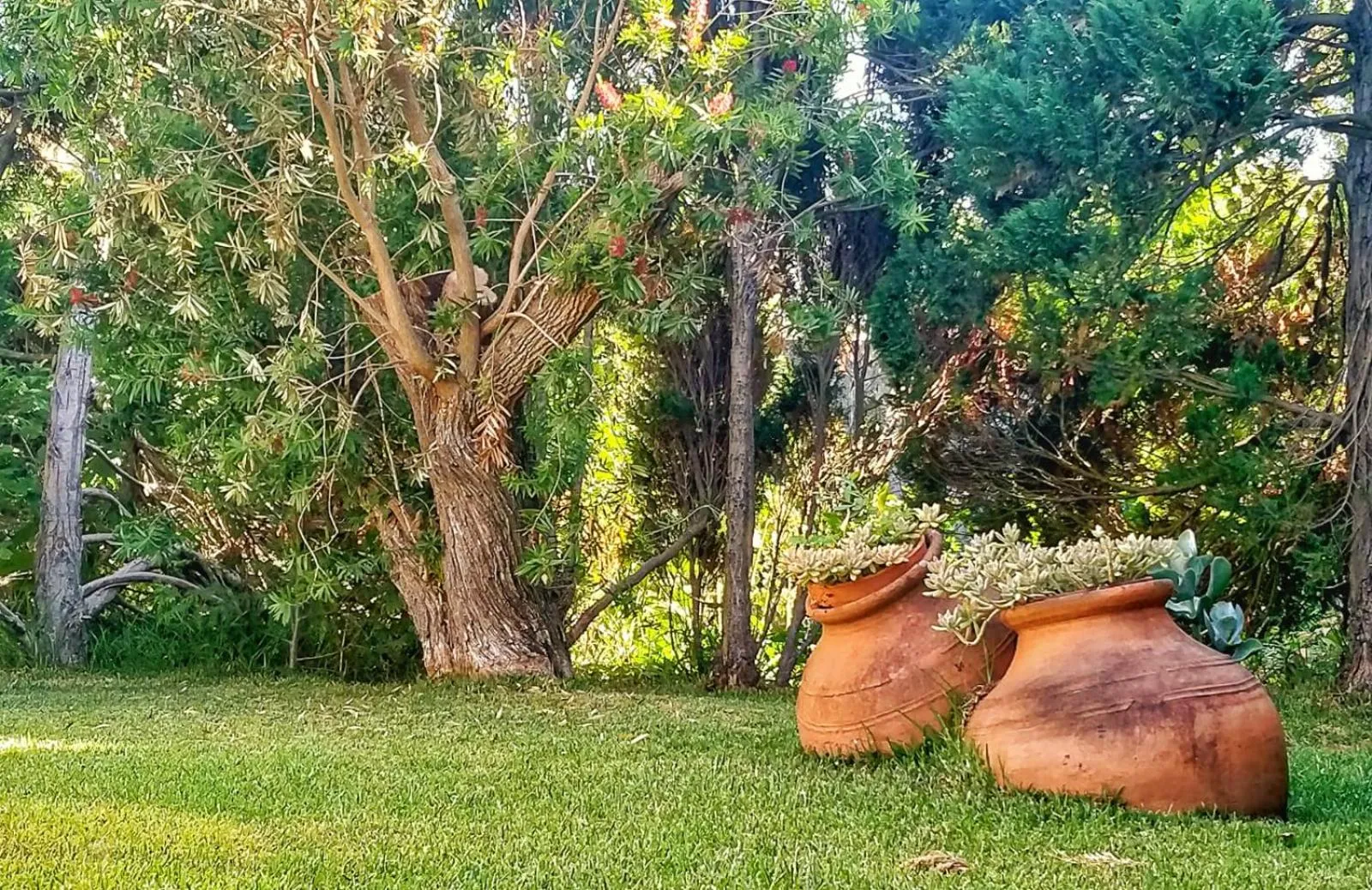 Garden in Our Lady of Mercy Villa
