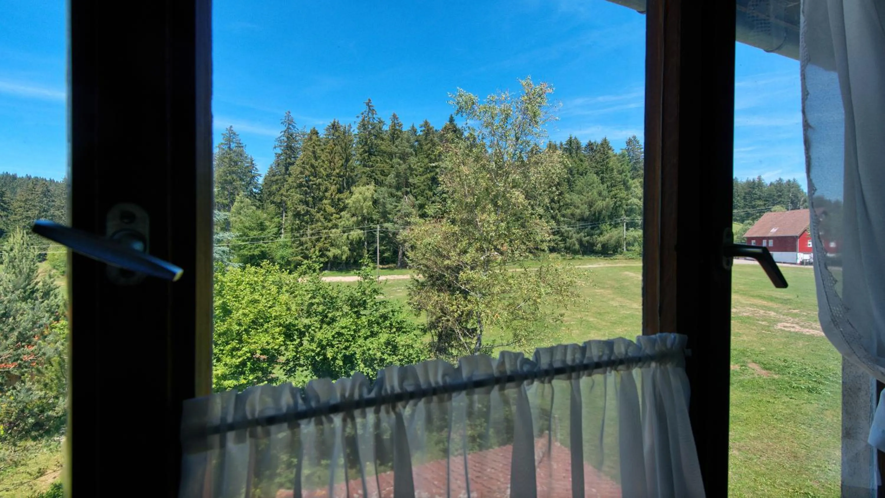 Mountain view in Landgasthof Zum Schwanen