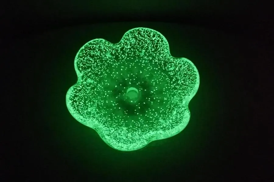 Decorative detail in 女性用 Art Setouchi Triennale Hotel Female Only