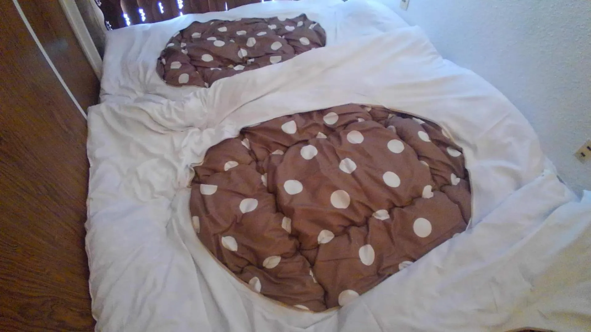 Photo of the whole room in 女性用 Art Setouchi Triennale Hotel Female Only