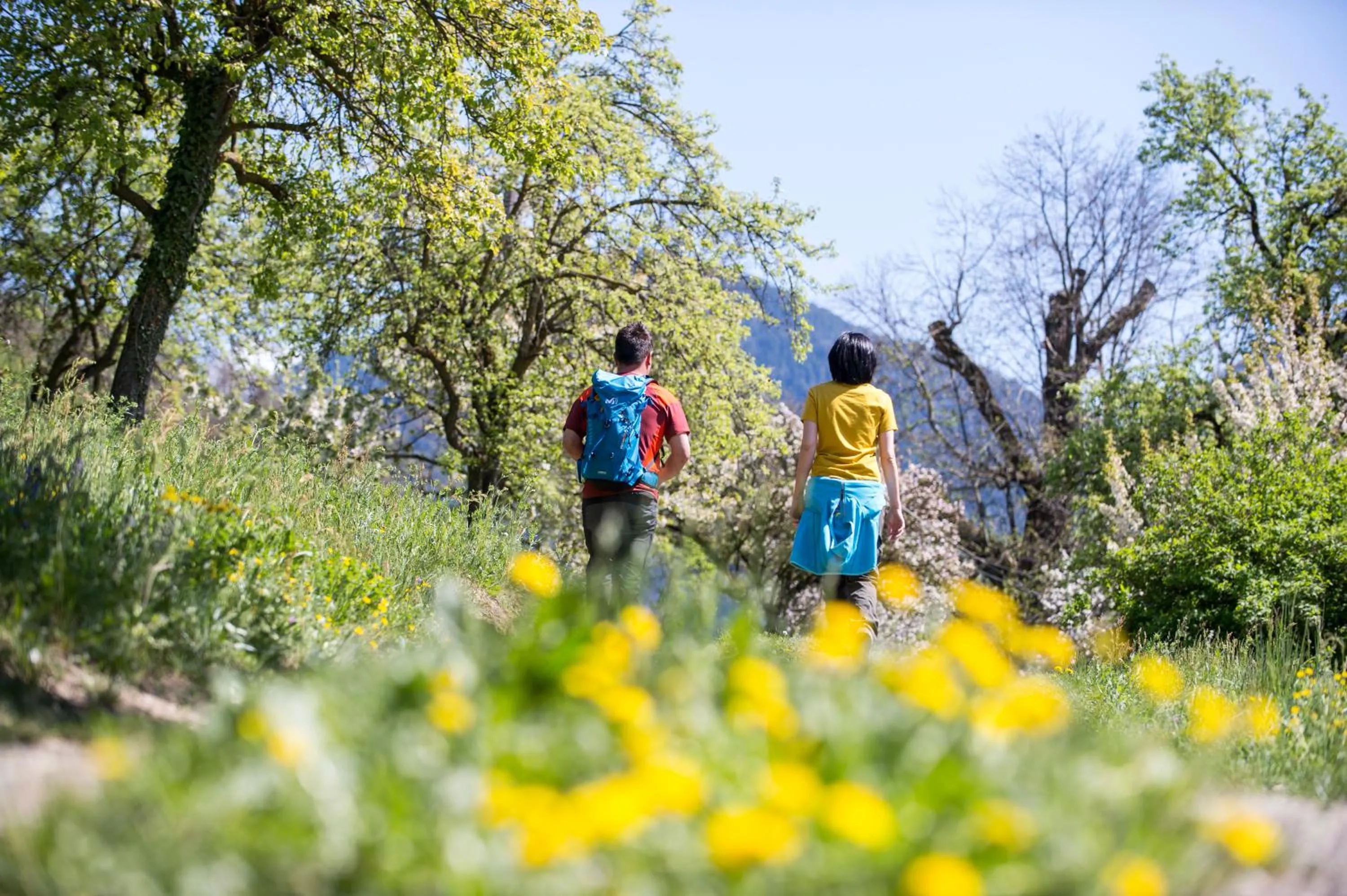 Hiking in Hotel Hubertusstube