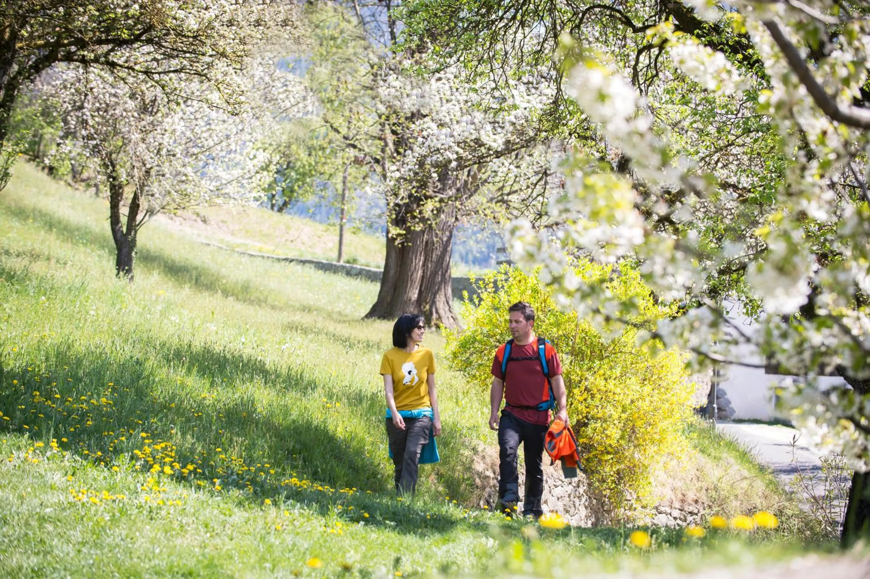 Hiking in Hotel Hubertusstube