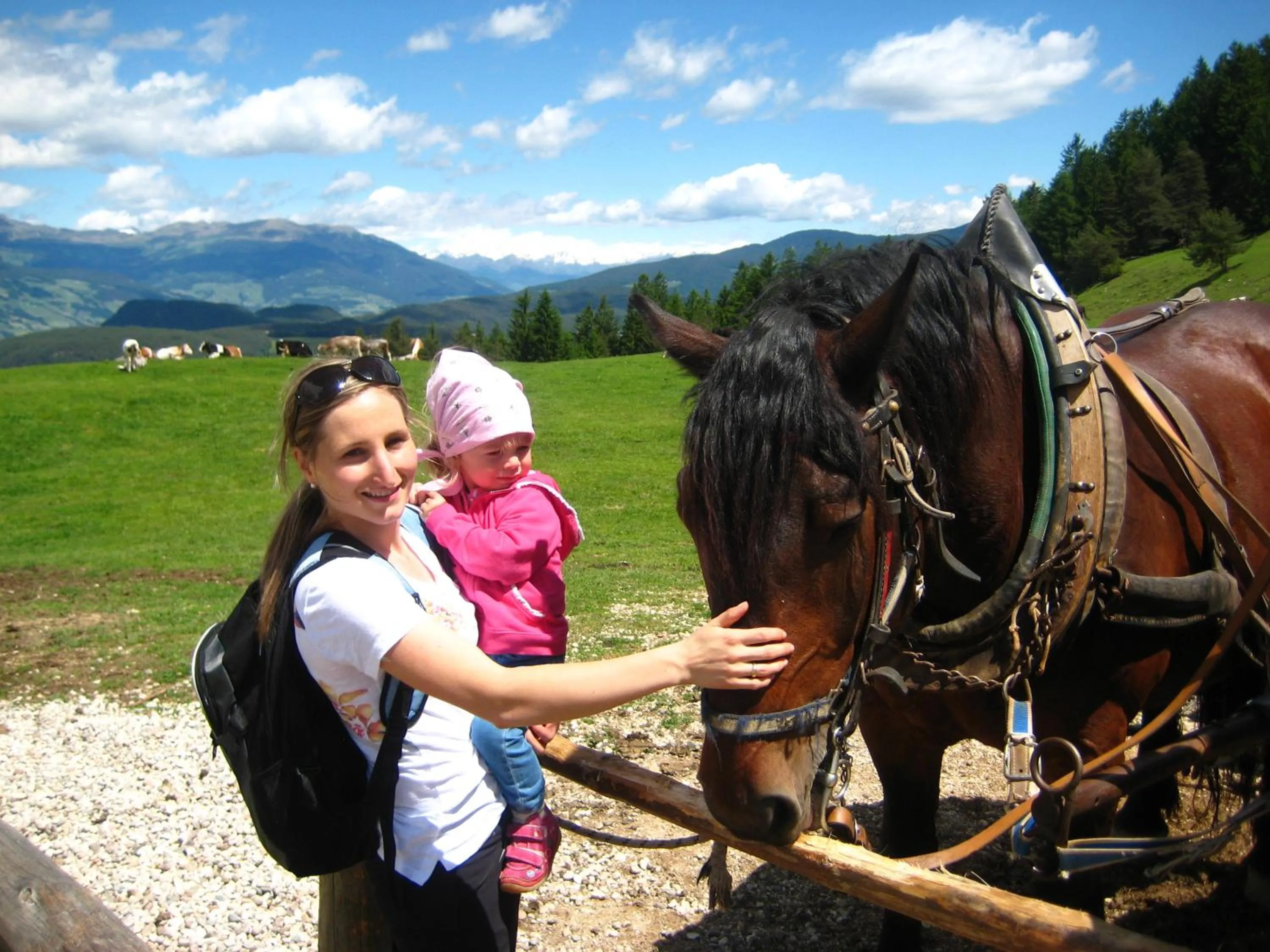 Horse-riding in Hotel Hubertusstube