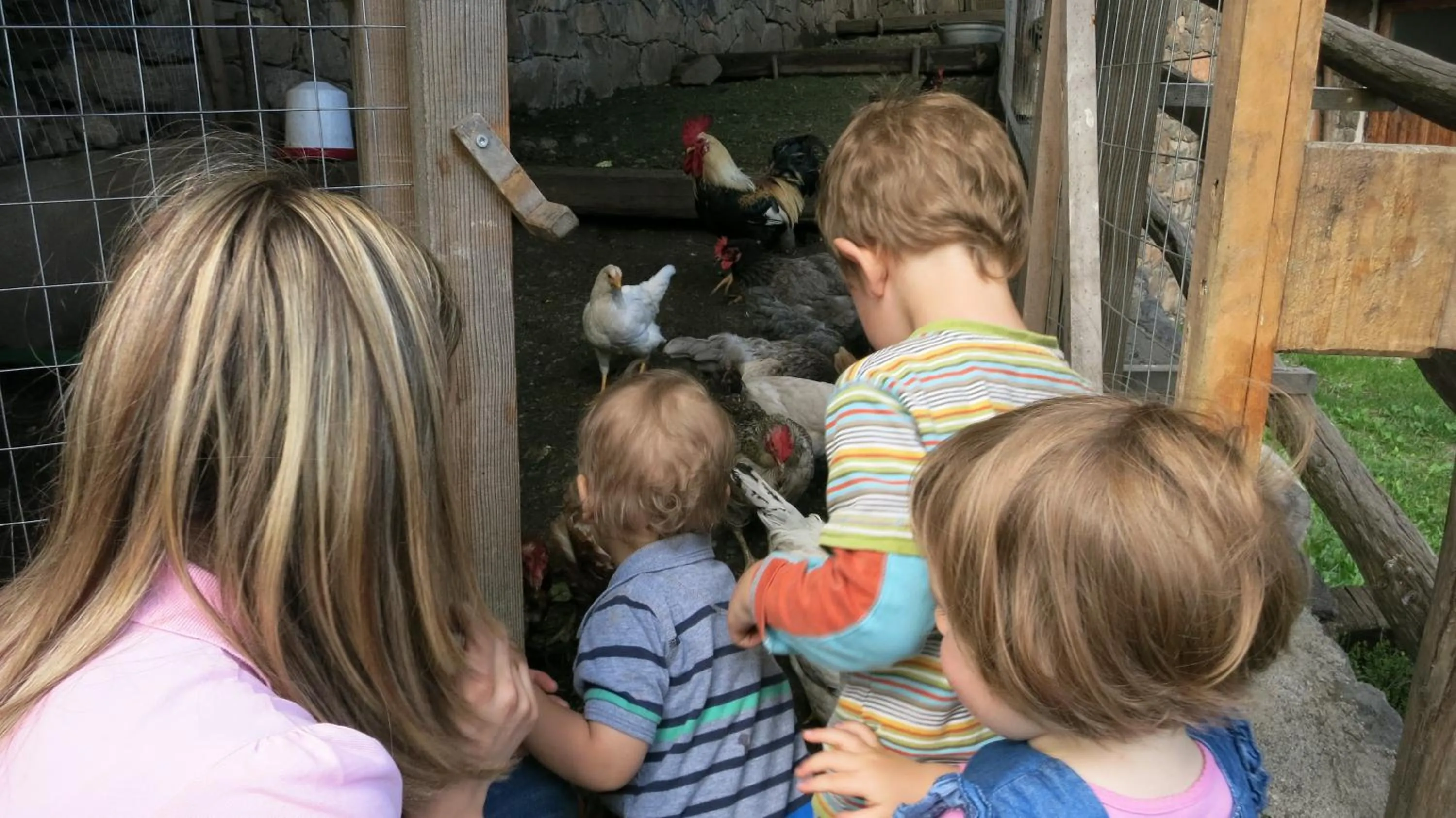 Entertainment in Hotel Hubertusstube