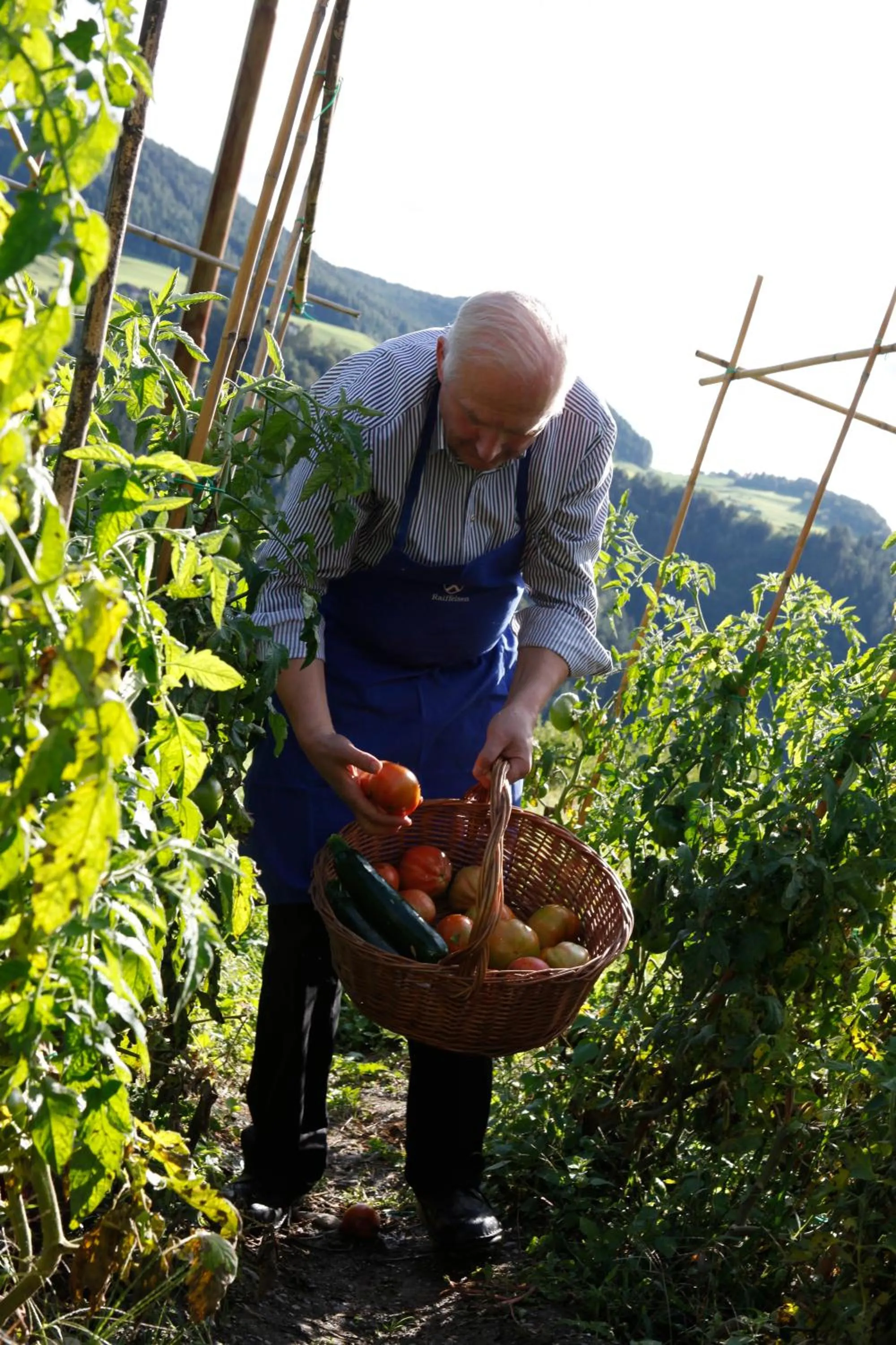 Garden in Hotel Hubertusstube