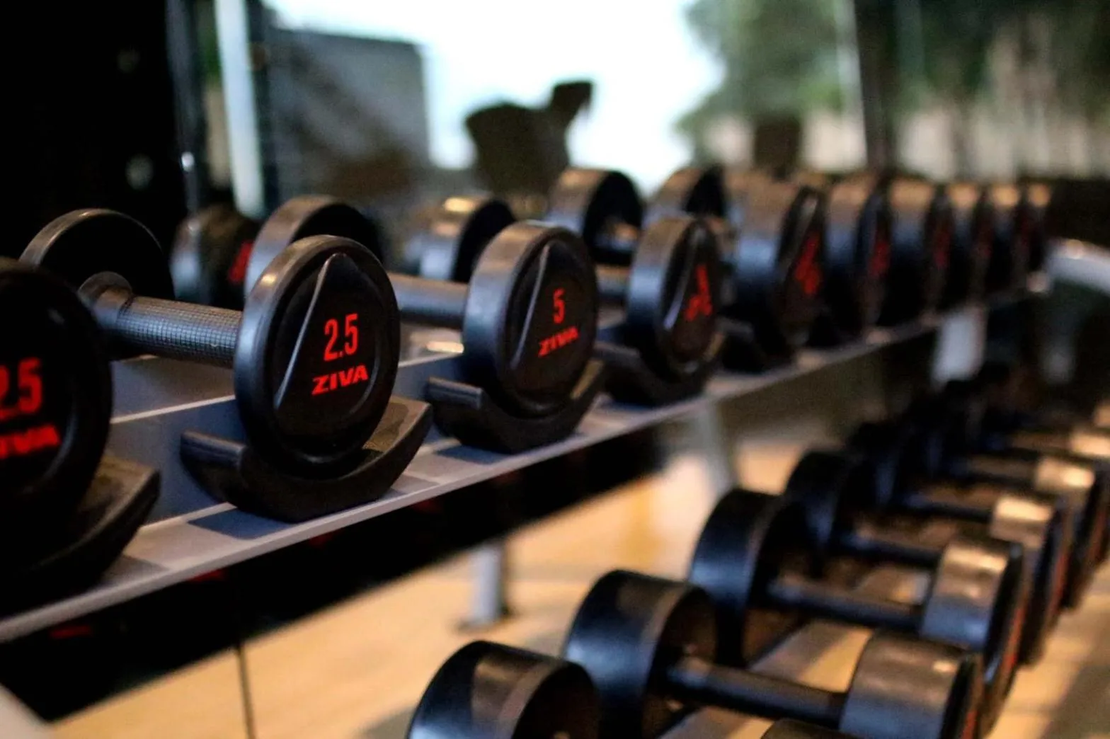 Fitness centre/facilities in Tara Villa