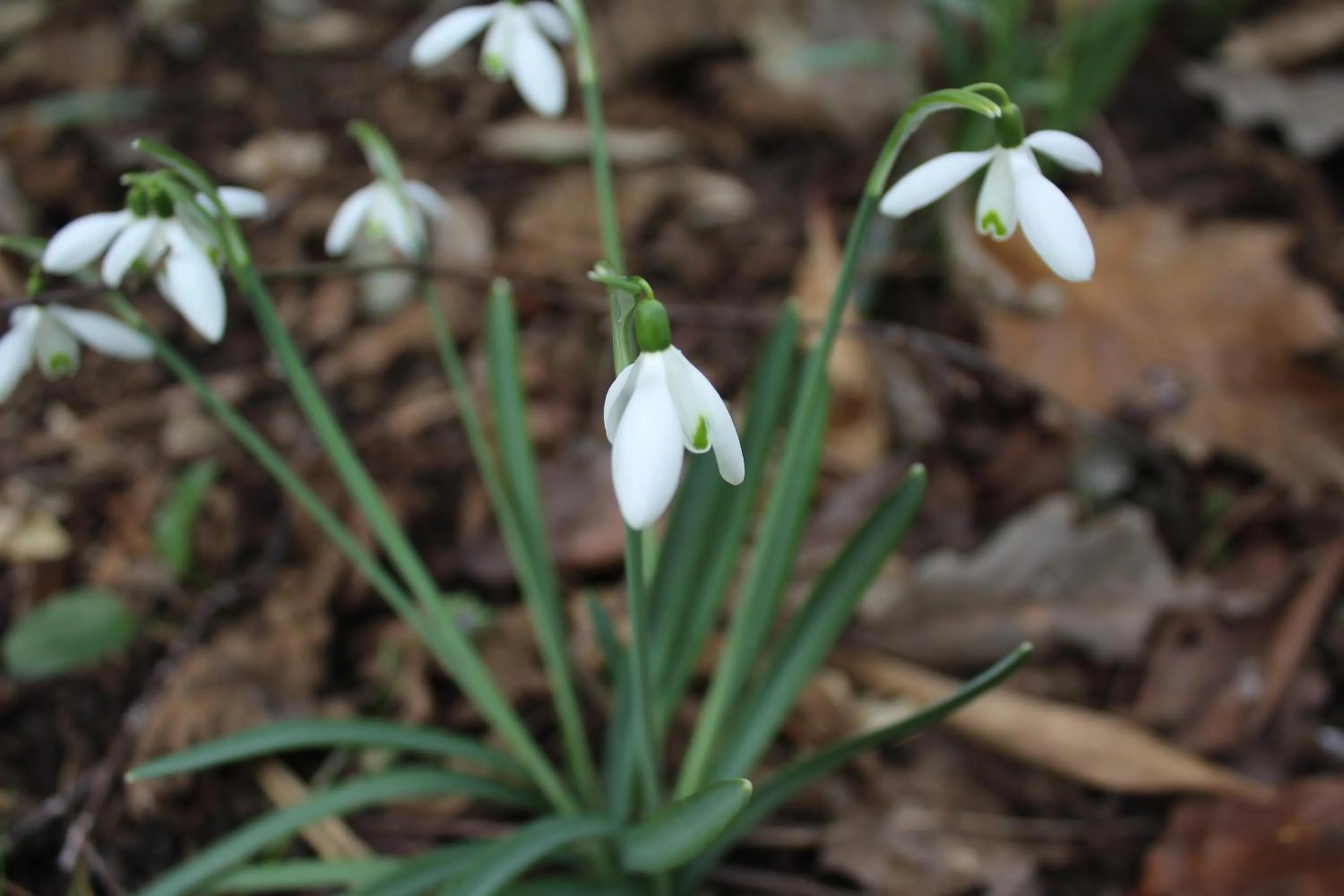 Fasthotel Tours Nord