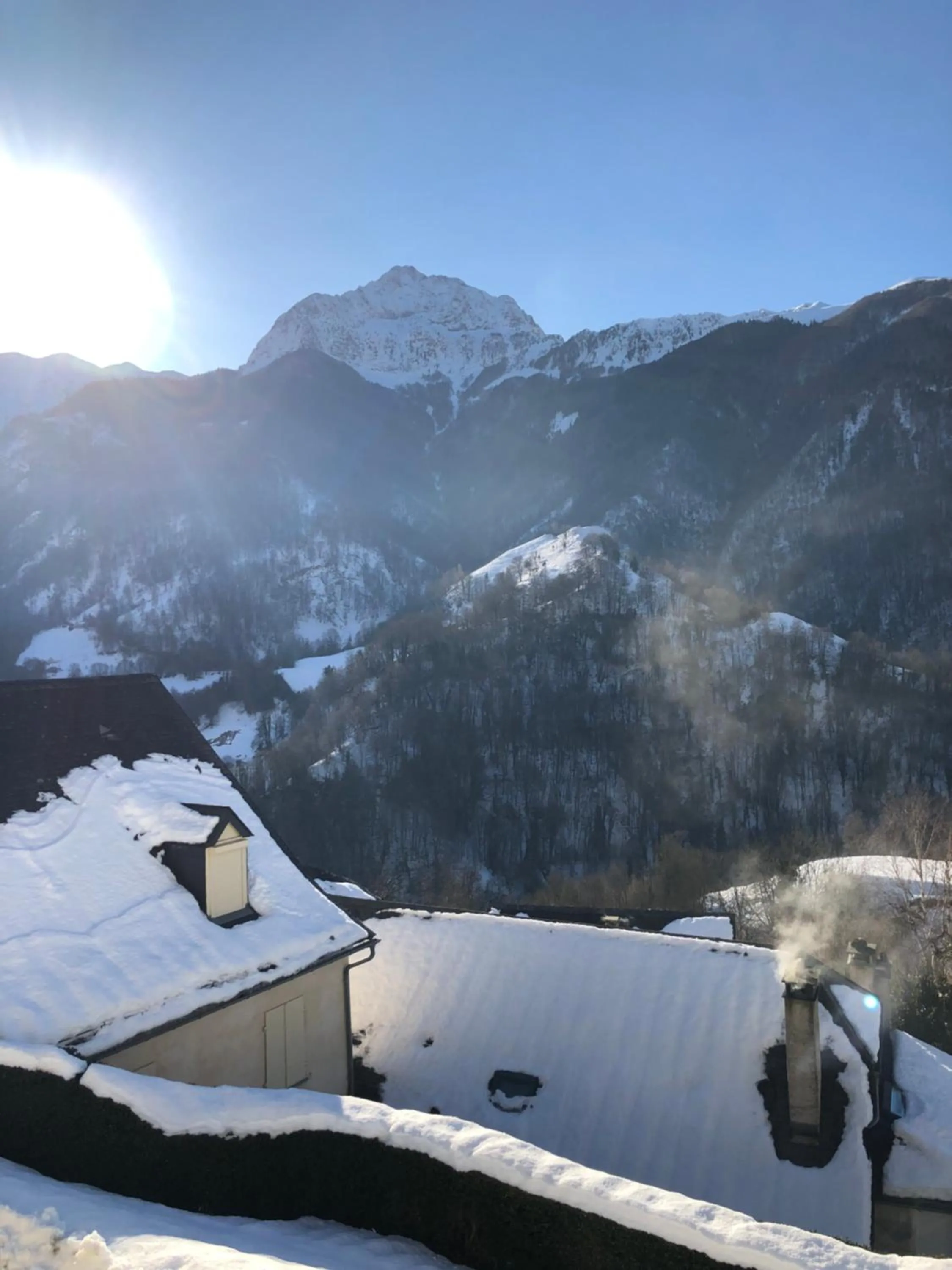 Double Room with Mountain View in Auberge des isards