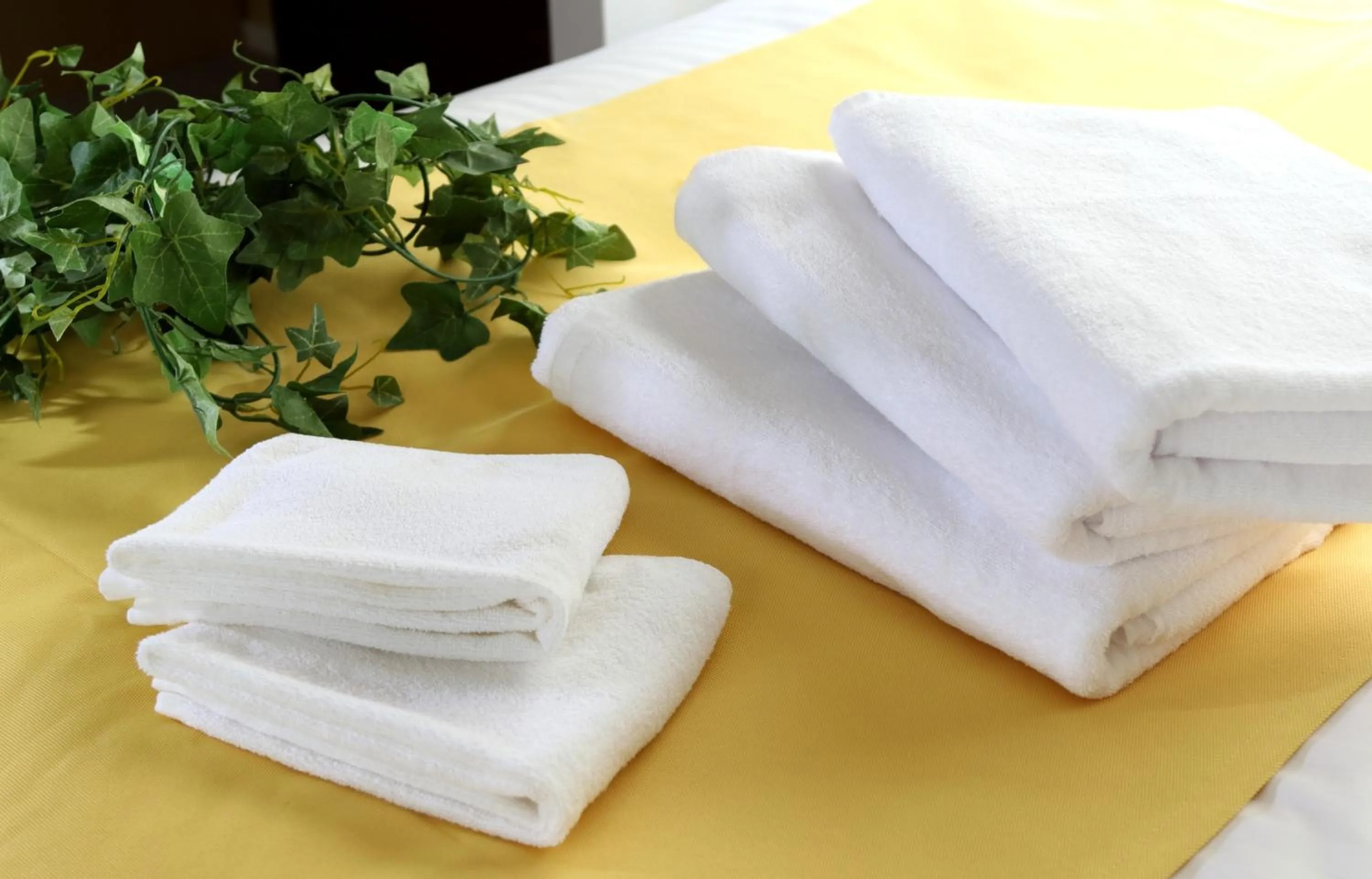 Photo of the whole room in The Grand Residence Hotel Hakata