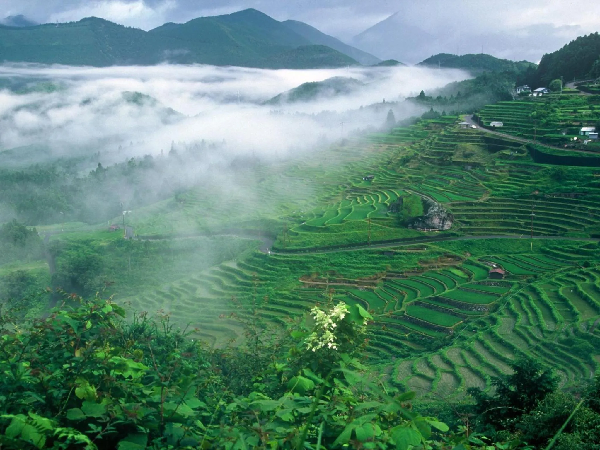 Nearby landmark in Business Hotel Kawakami