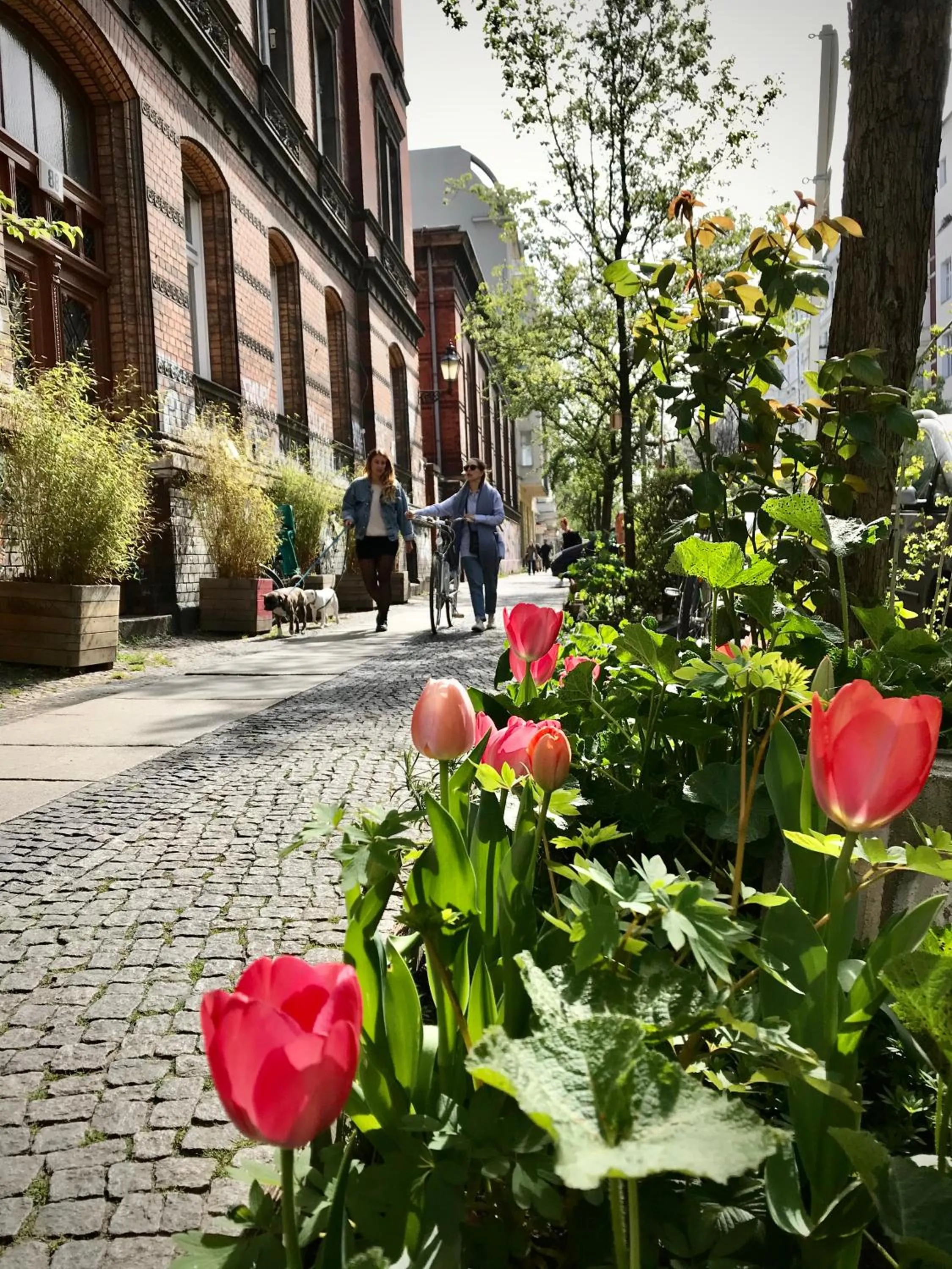 Boutique Hostel LEKKERURLAUB
