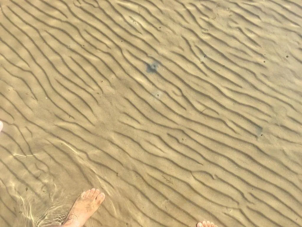 Sea view in Hotel Holiday