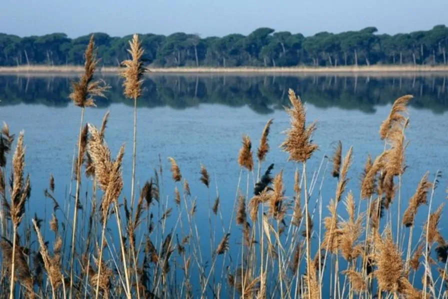 Natural landscape in Hotel Diga