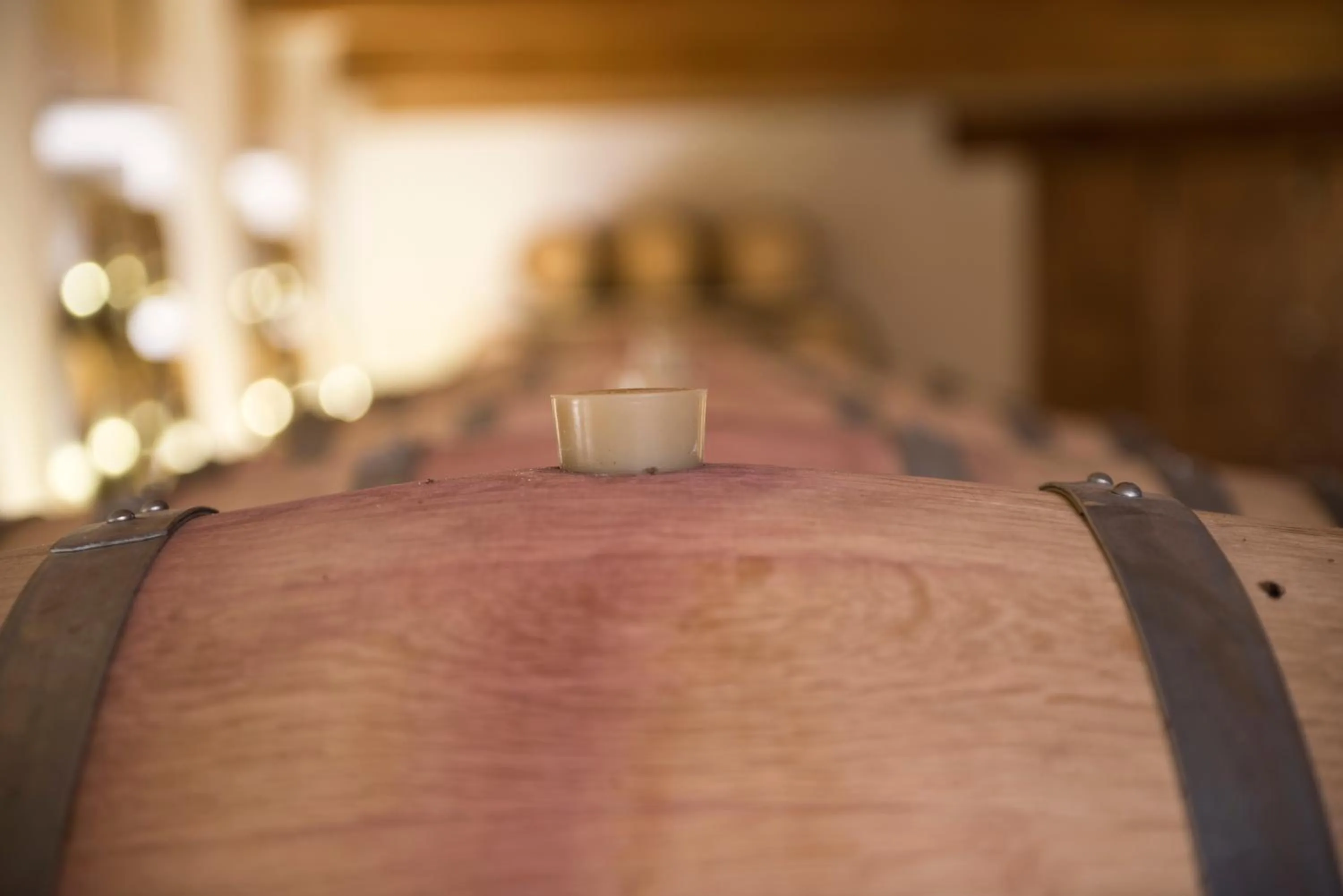 View (from property/room) in Cincinnato Wine Resort