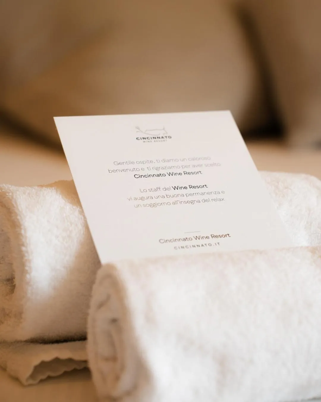 Decorative detail in Cincinnato Wine Resort