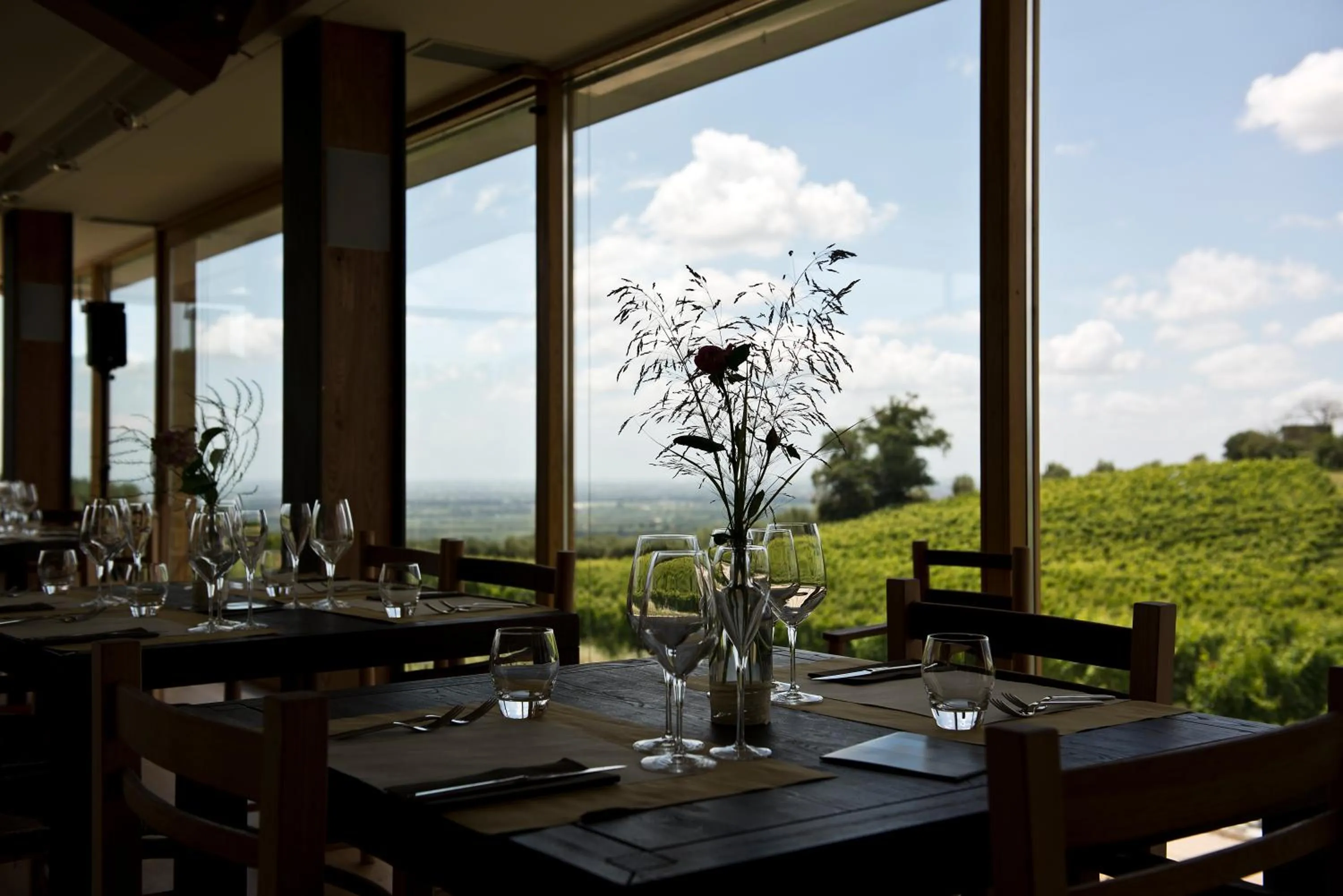 Restaurant/places to eat in Cincinnato Wine Resort