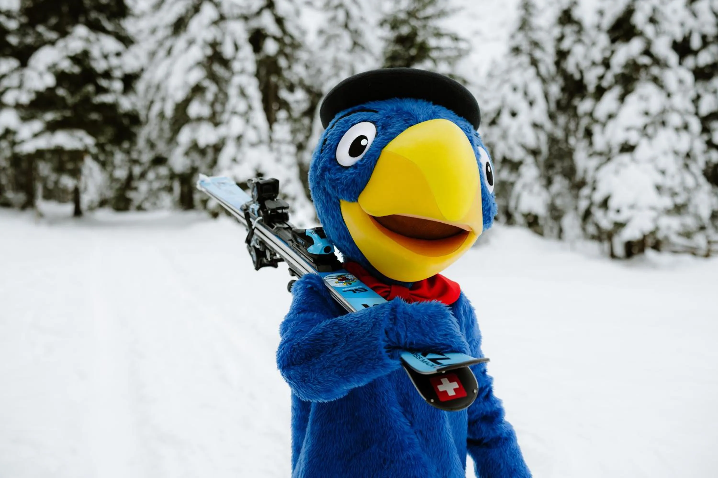 Entertainment in Berghotel Engstligenalp Adelboden