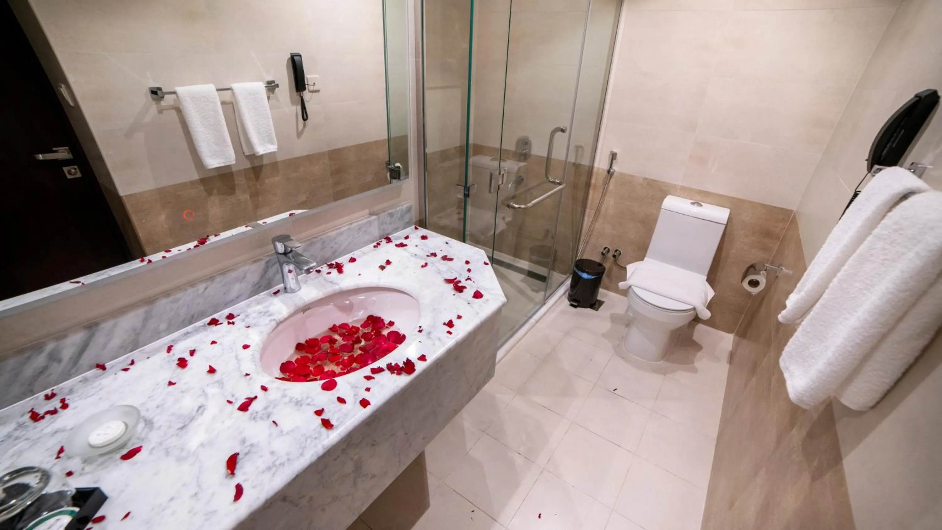 Bathroom in Holiday Villa Hail