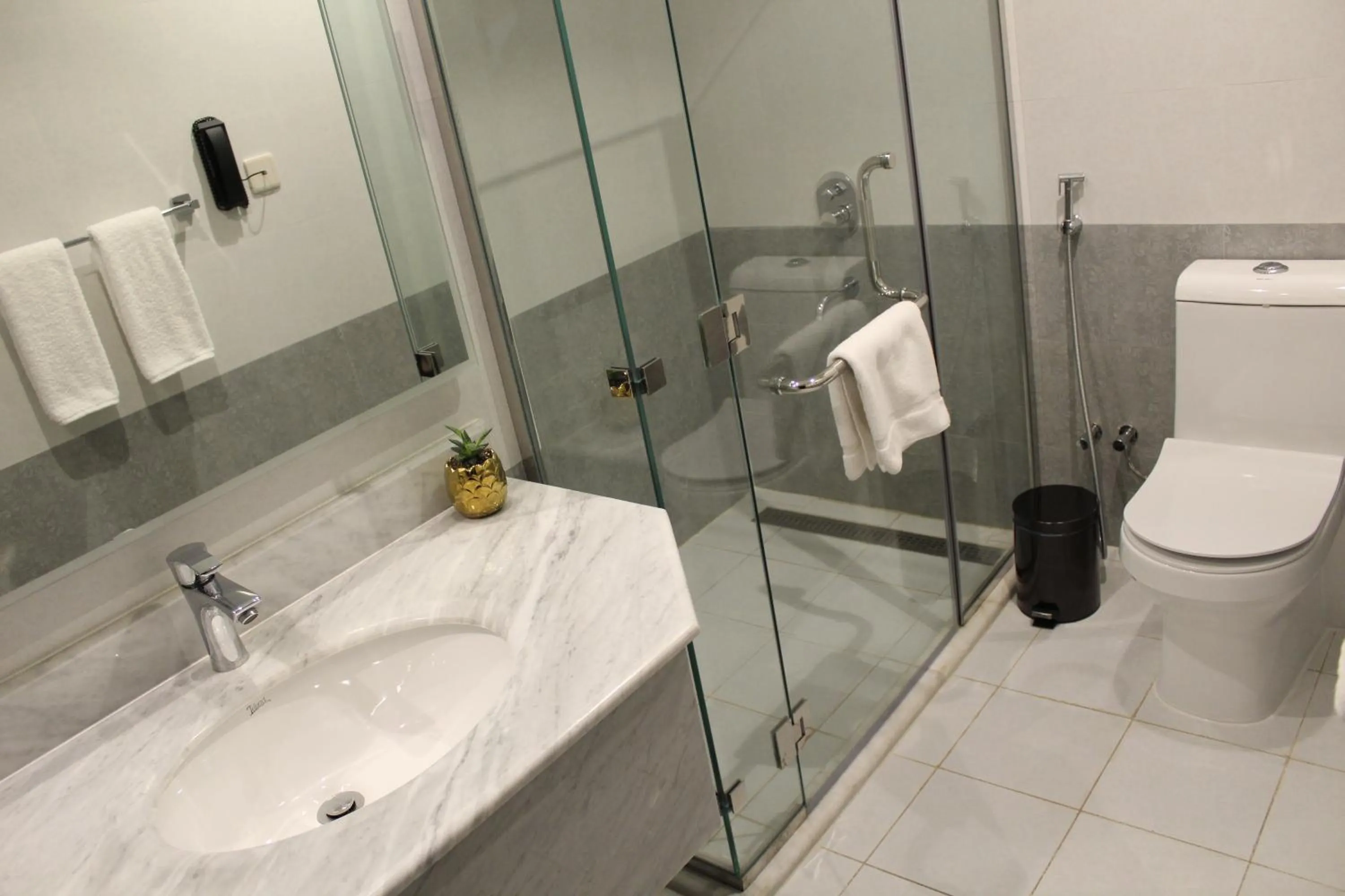 Shower in Holiday Villa Hail