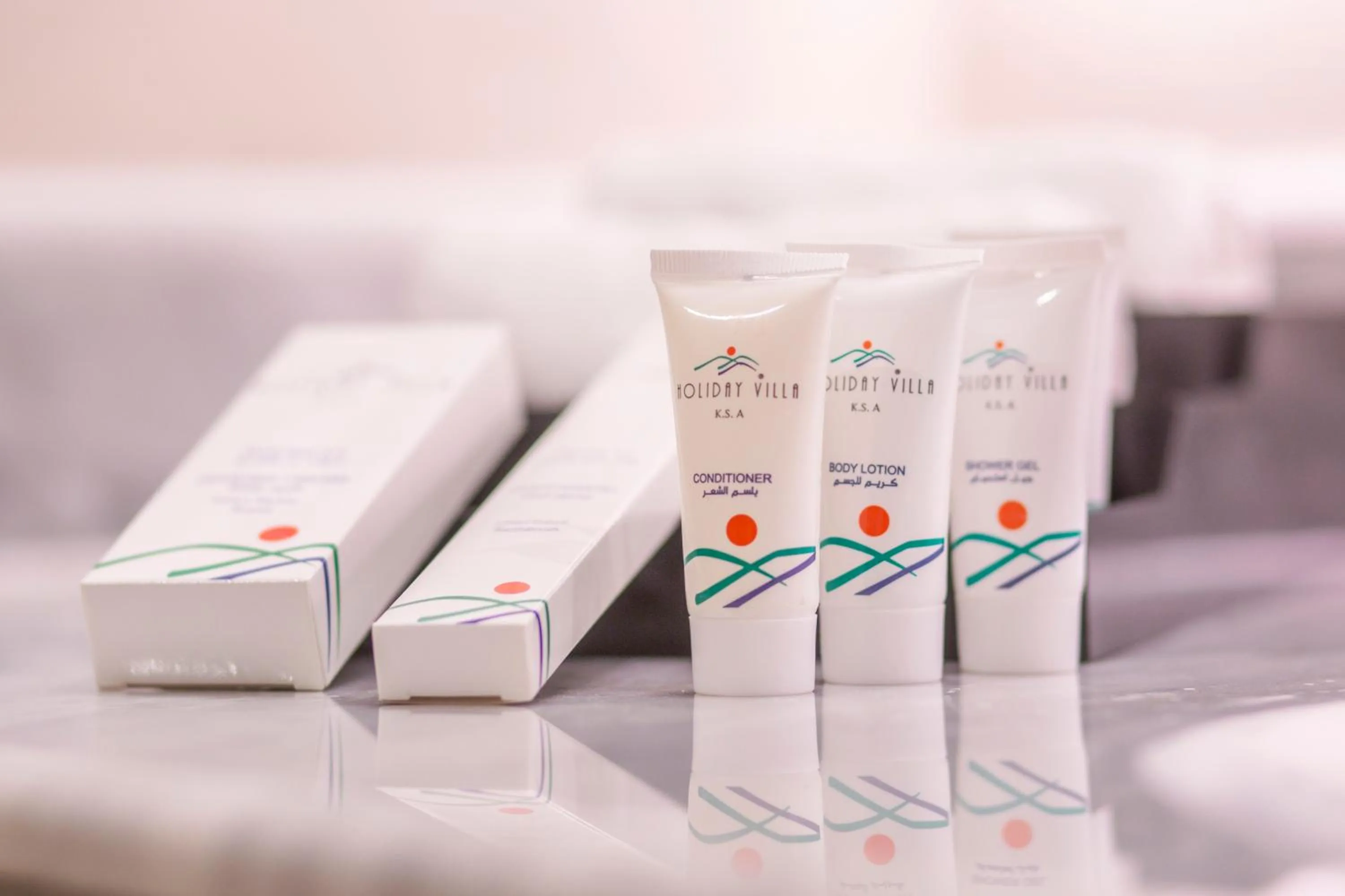 Toilet in Holiday Villa Hail