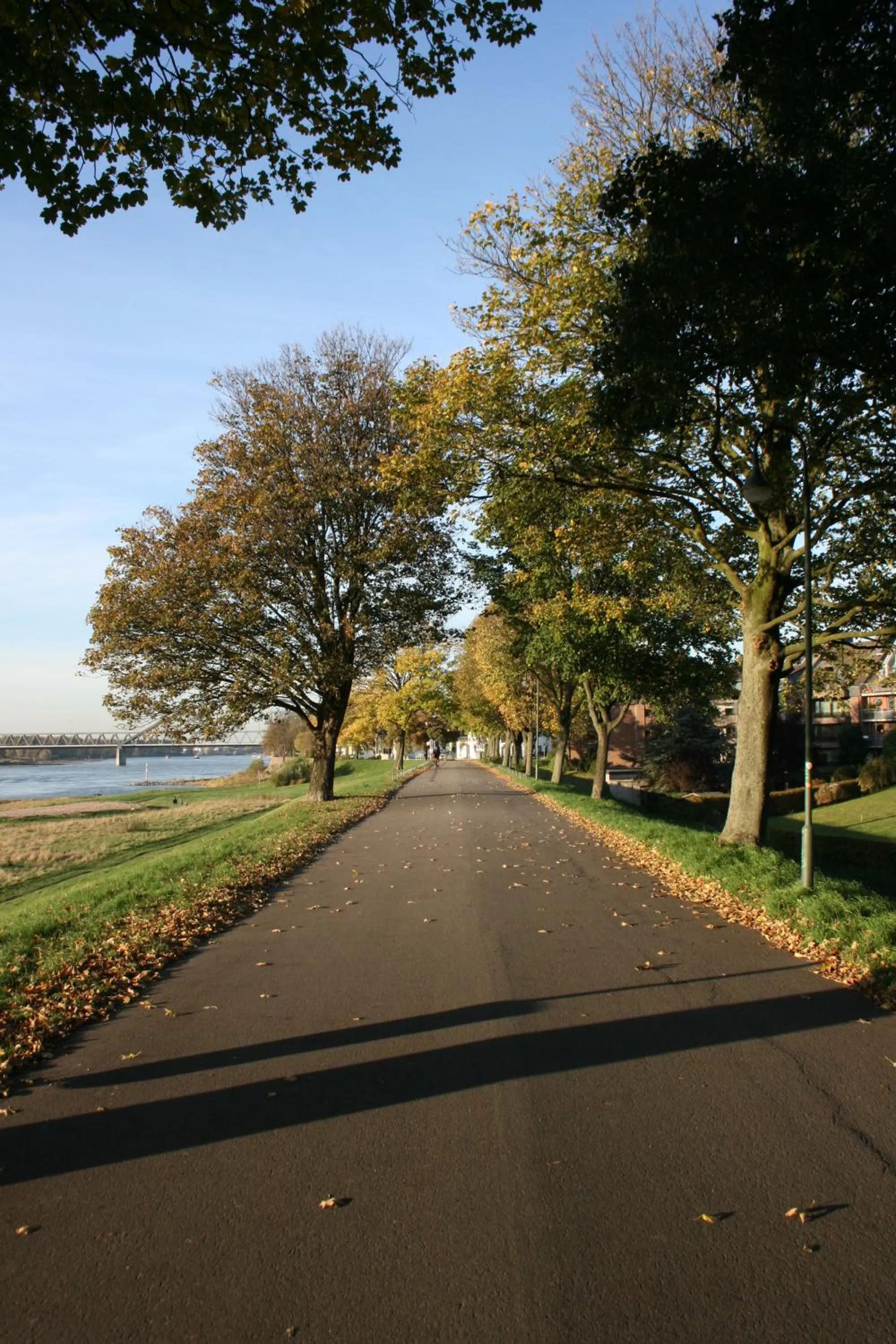 Area and facilities in Chrisma