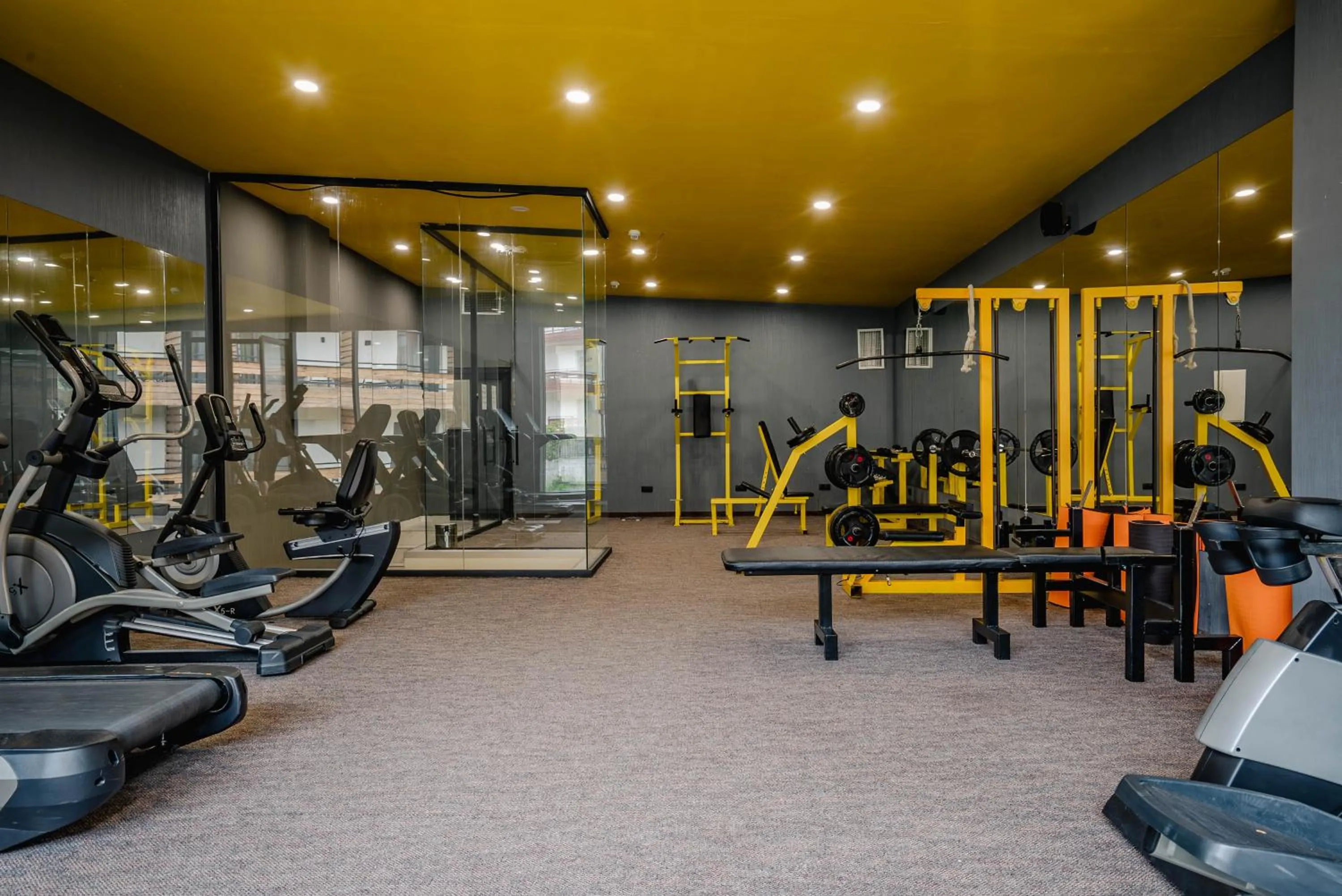 Fitness centre/facilities in Bakuriani Inn