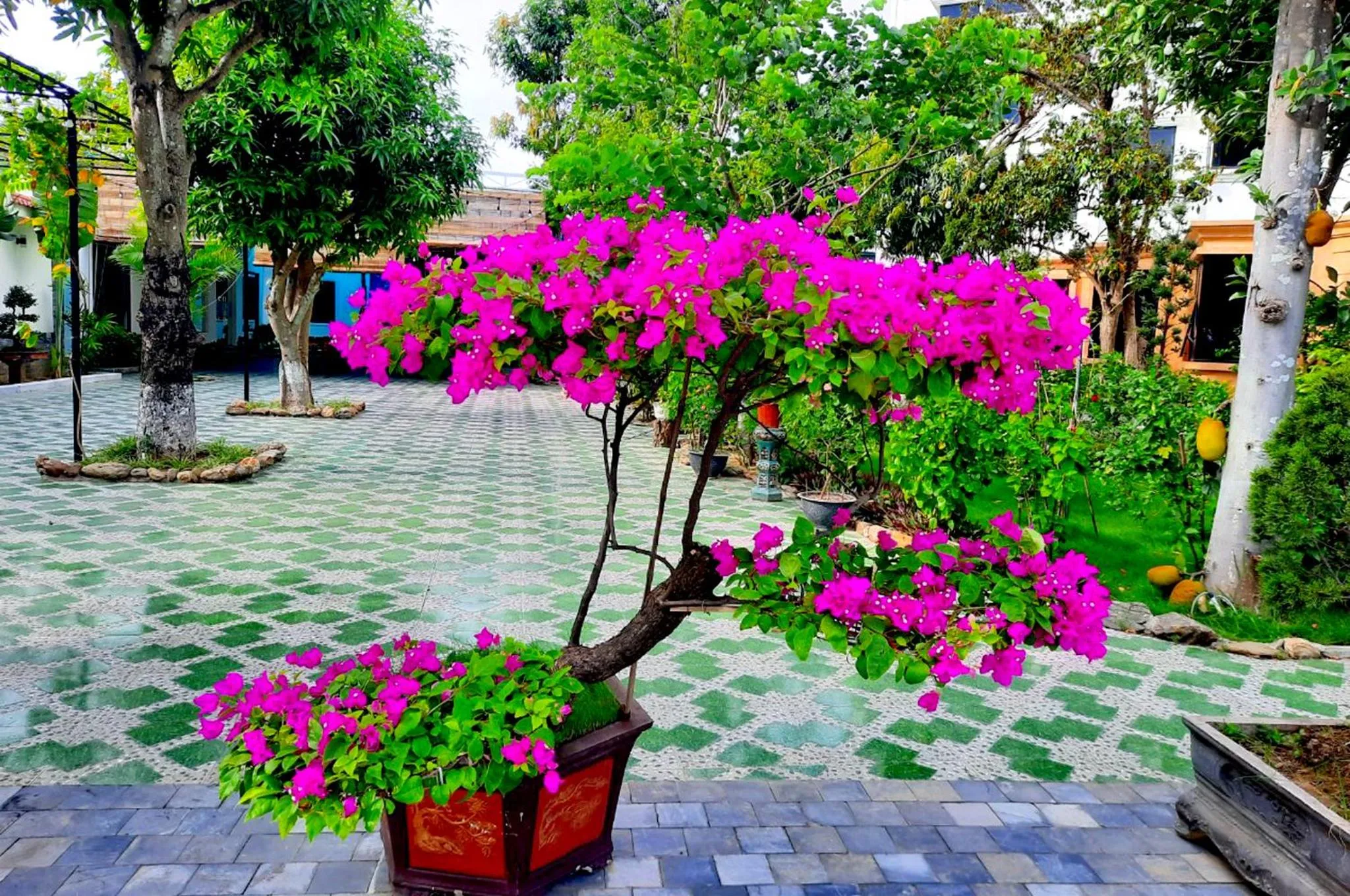 Property building in Thông Đỏ Hotel