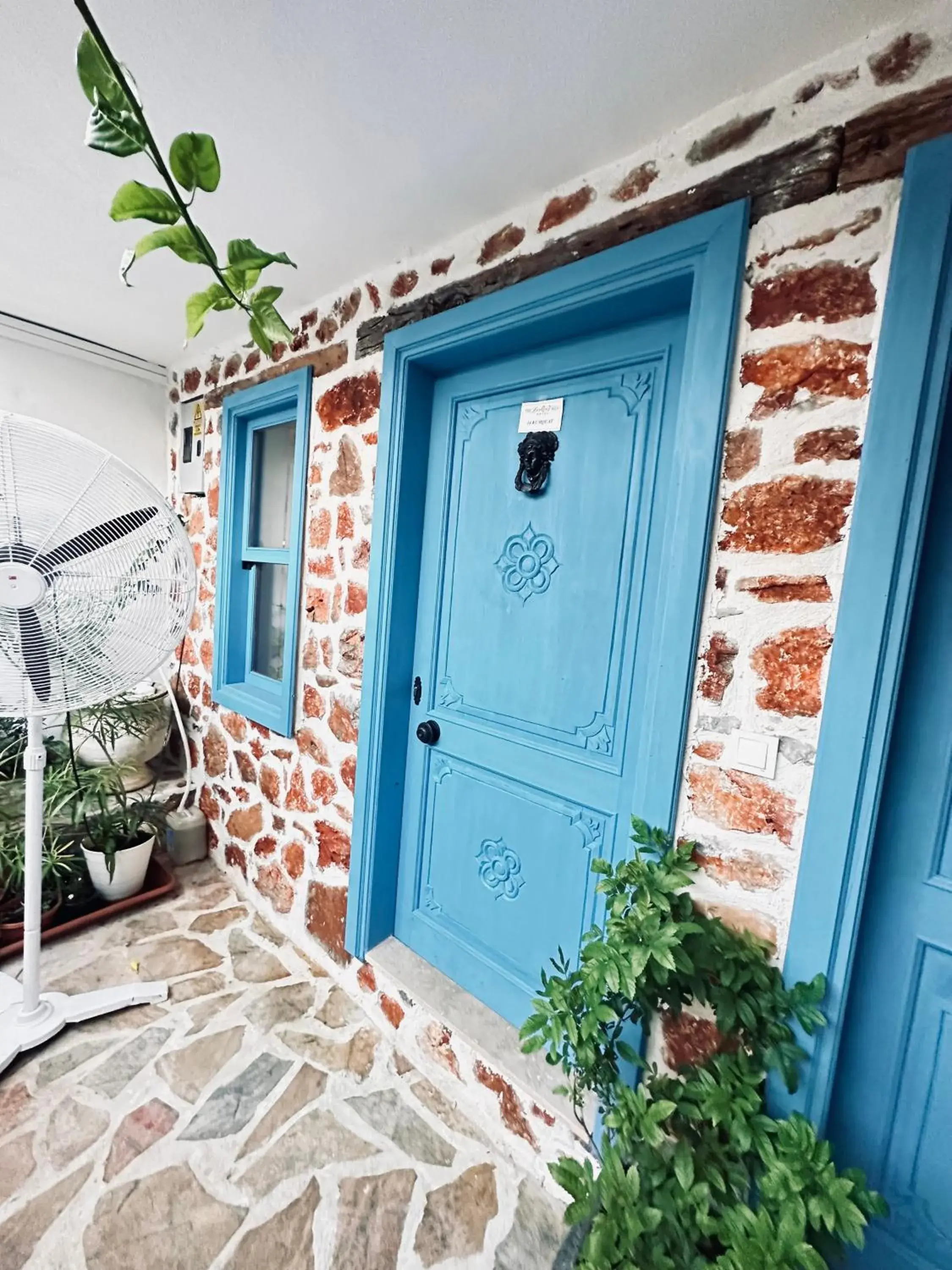 Budget Double Room - single occupancy in Lemon Villa Hotel Budget Double Room - single occupancy in Lemon Villa Hotel