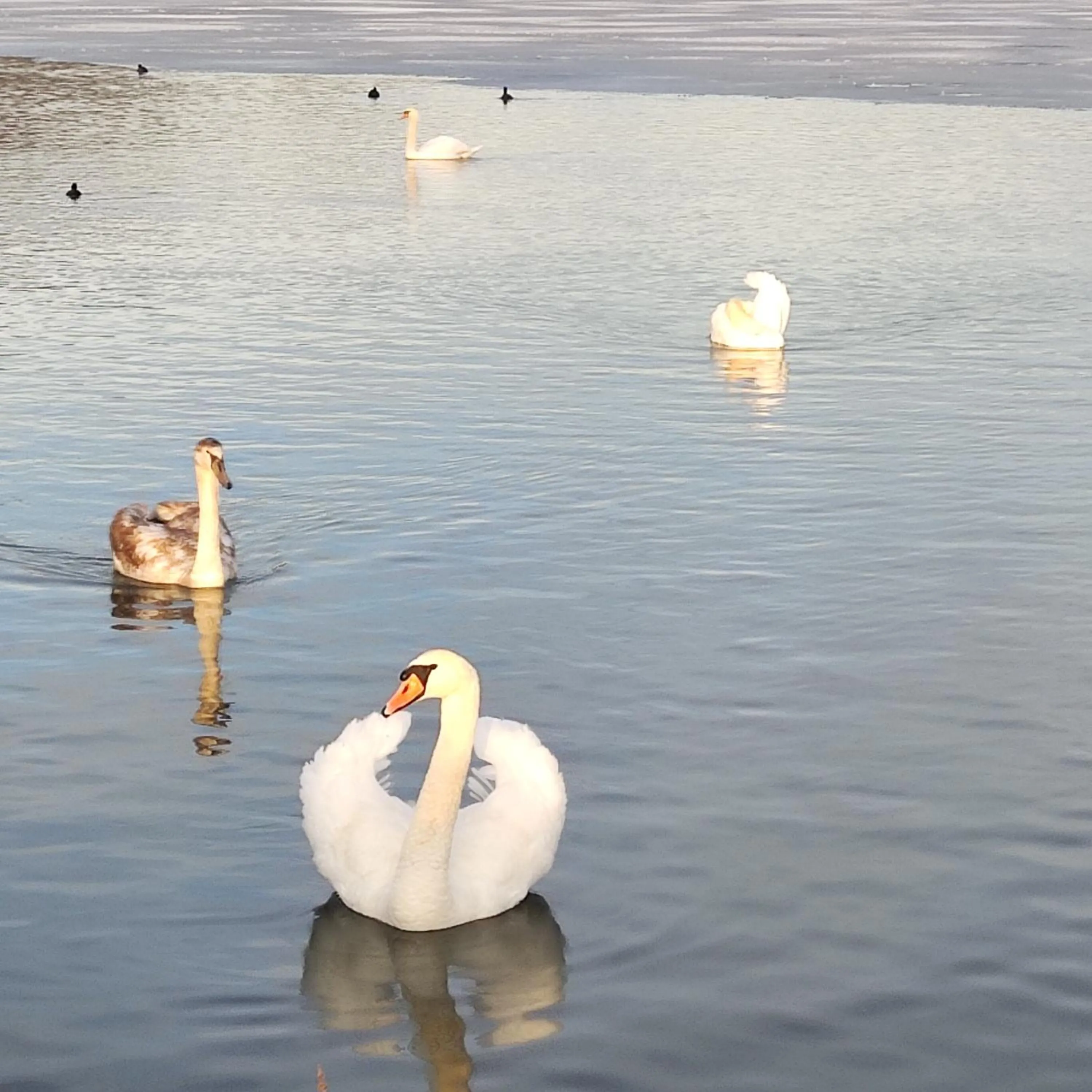 Natural landscape in Landhaus Noreia