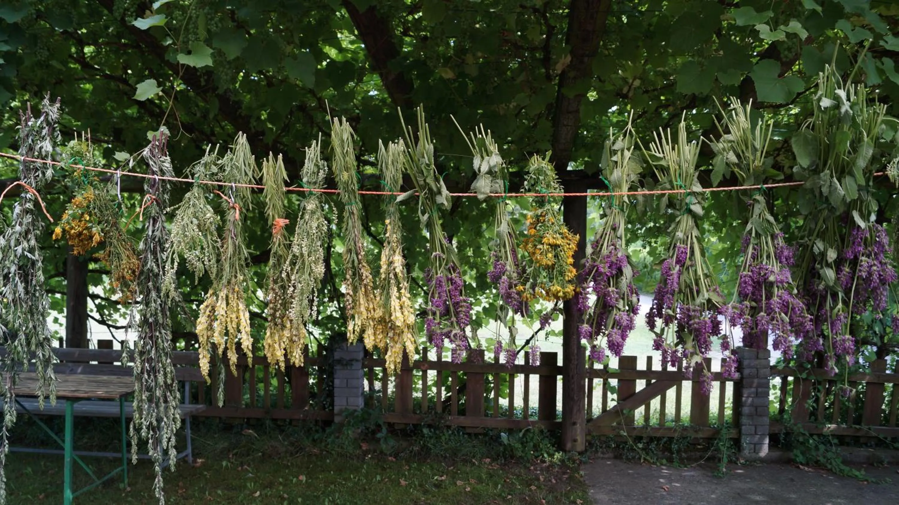 Facade/entrance in Landhaus Noreia