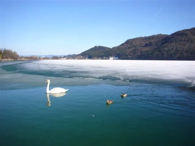 Area and facilities in Landhaus Noreia