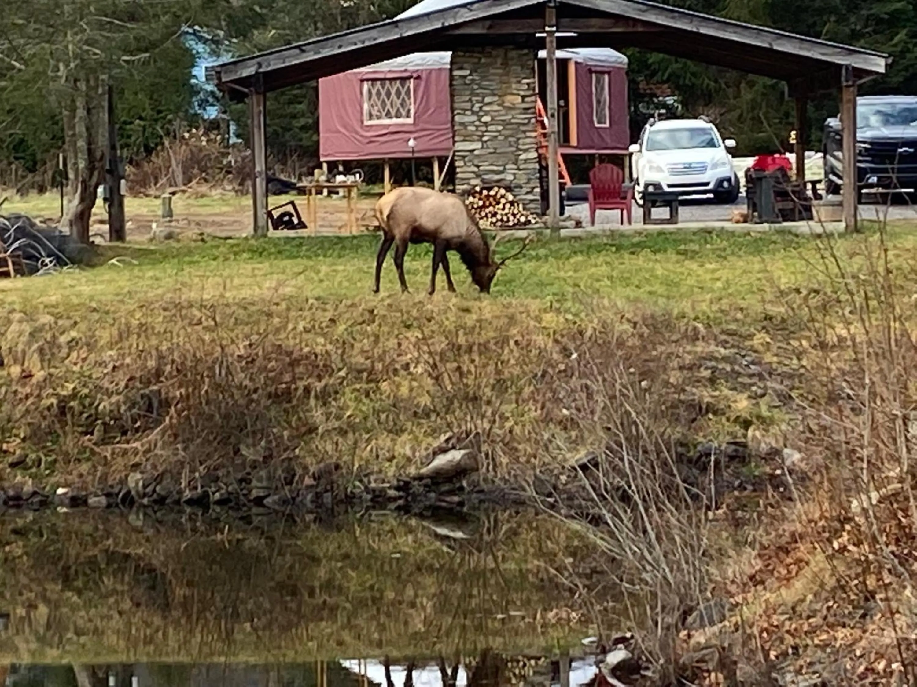 Property building in Maggie Valley Cabin Rentals