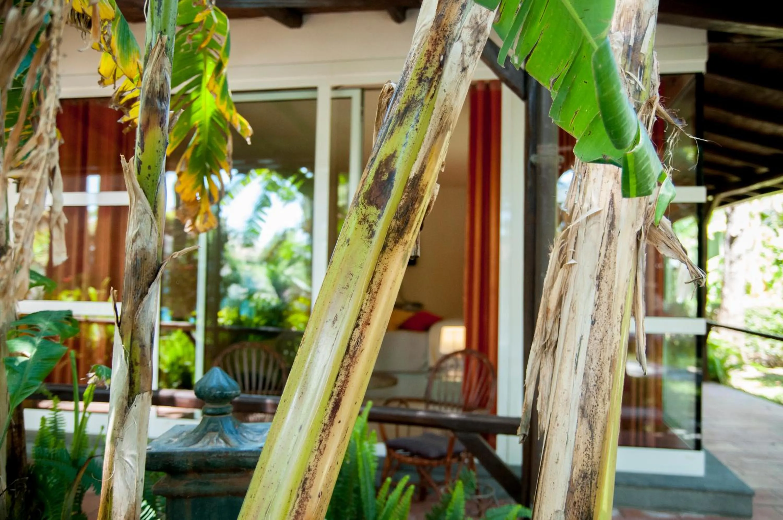 Patio in B&B La Villa