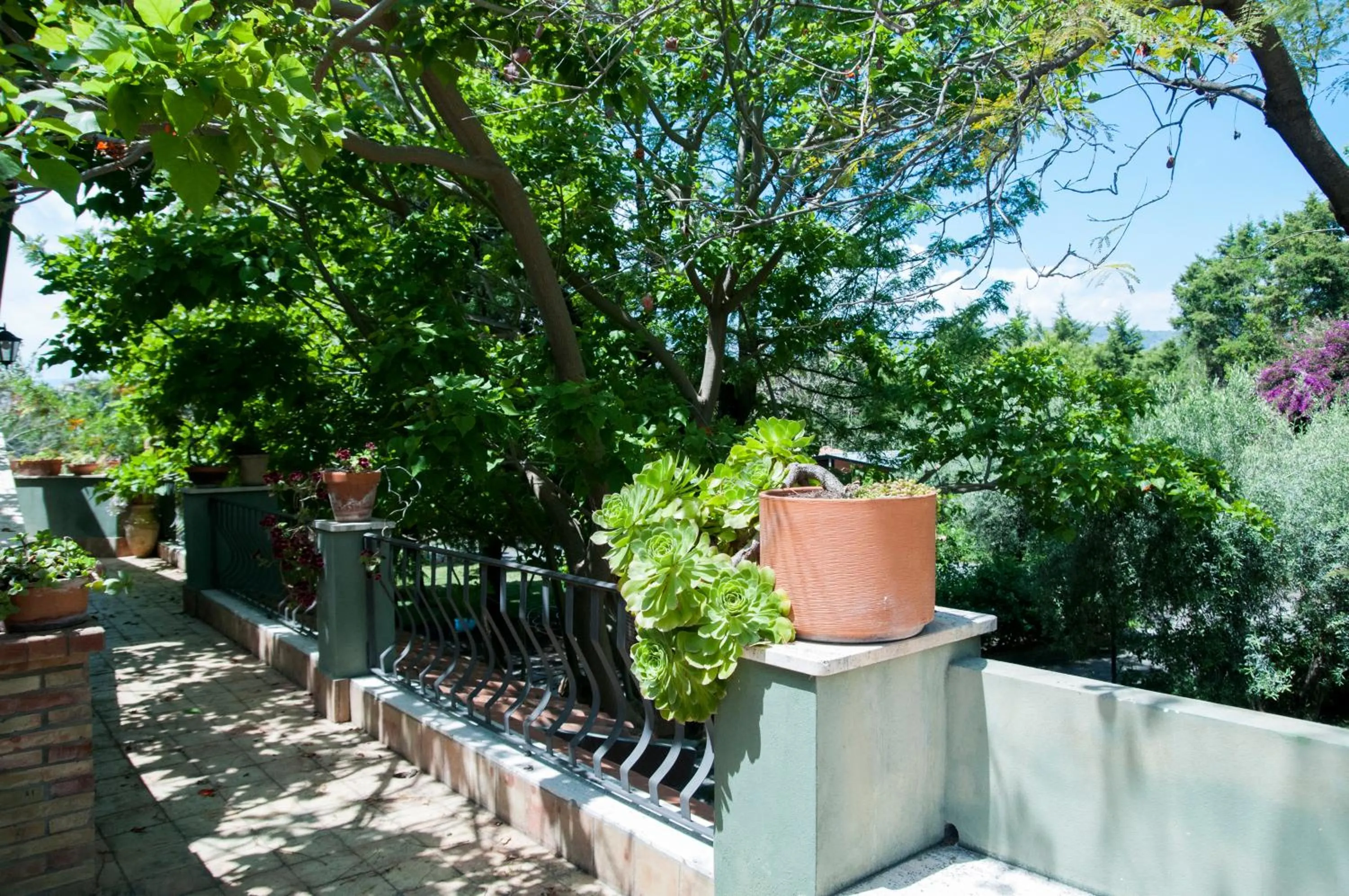 Balcony/Terrace in B&B La Villa