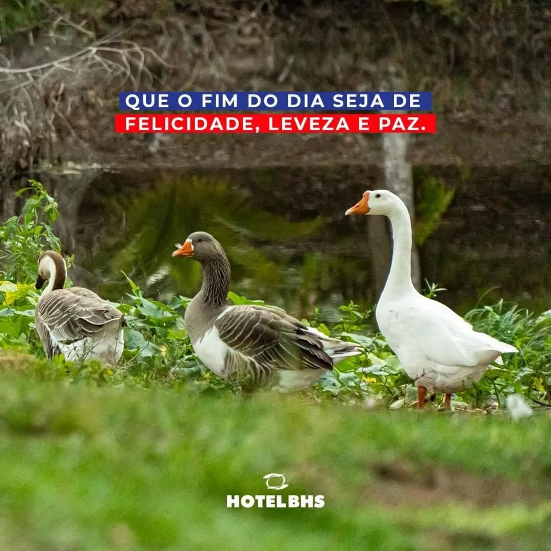 Property building in Hotel BHS