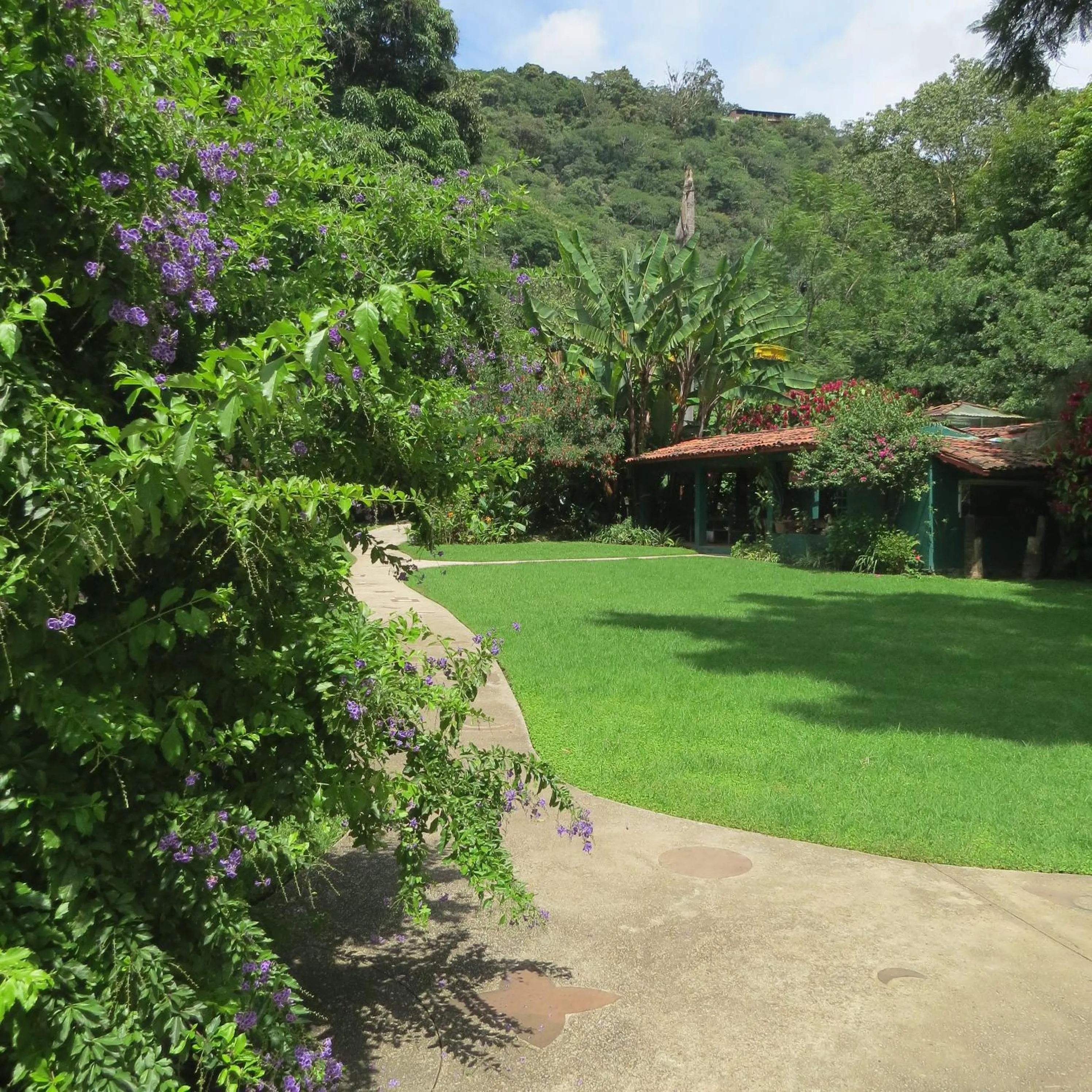Garden in Hotel Agua Blanca