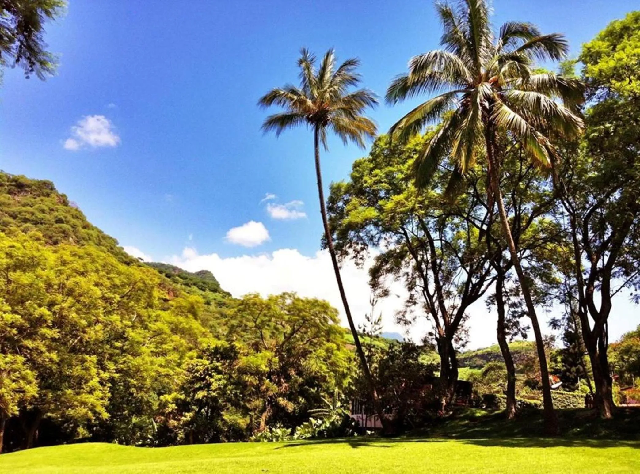Garden in Hotel Agua Blanca