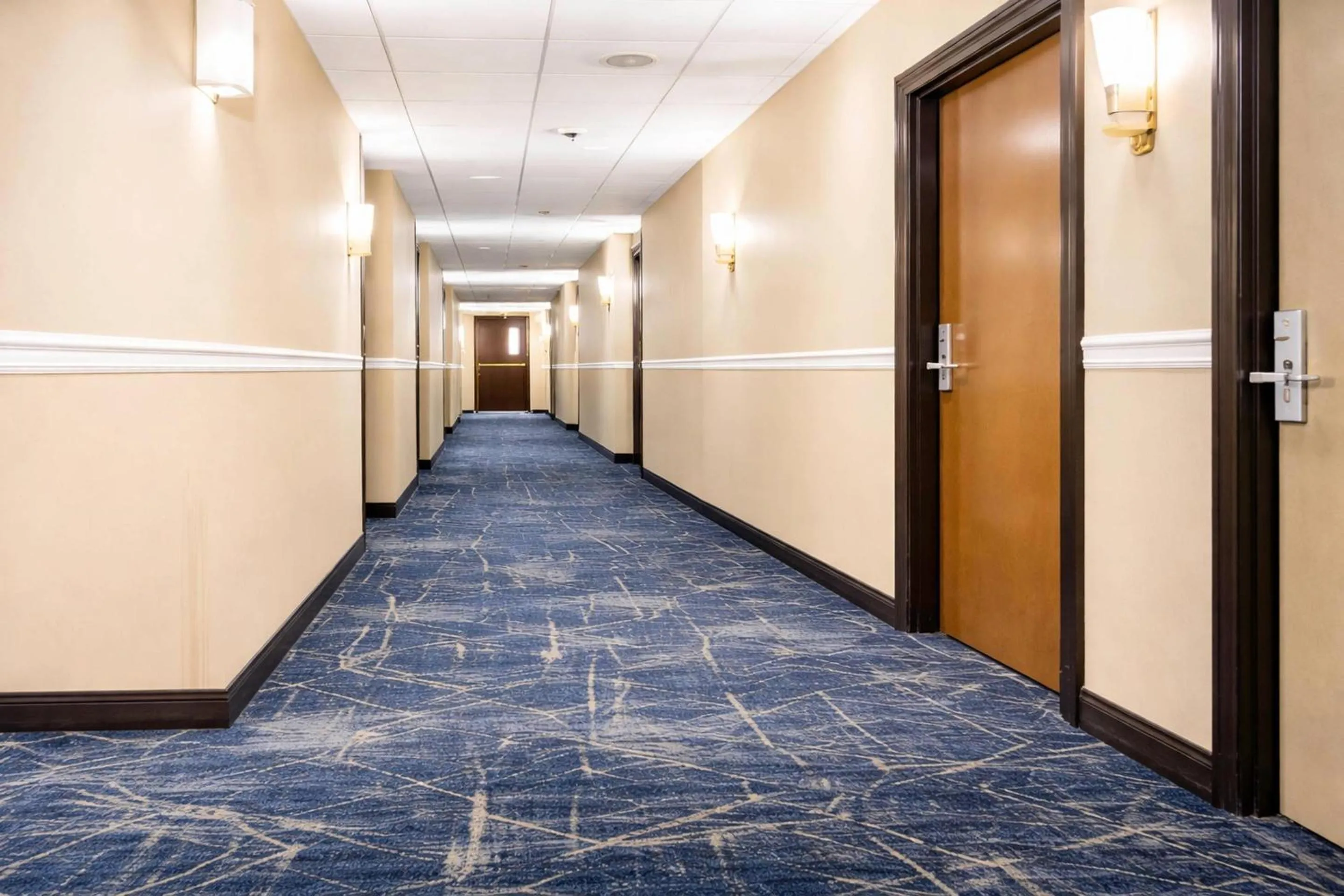 Other in Comfort Inn & Suites Meriden East