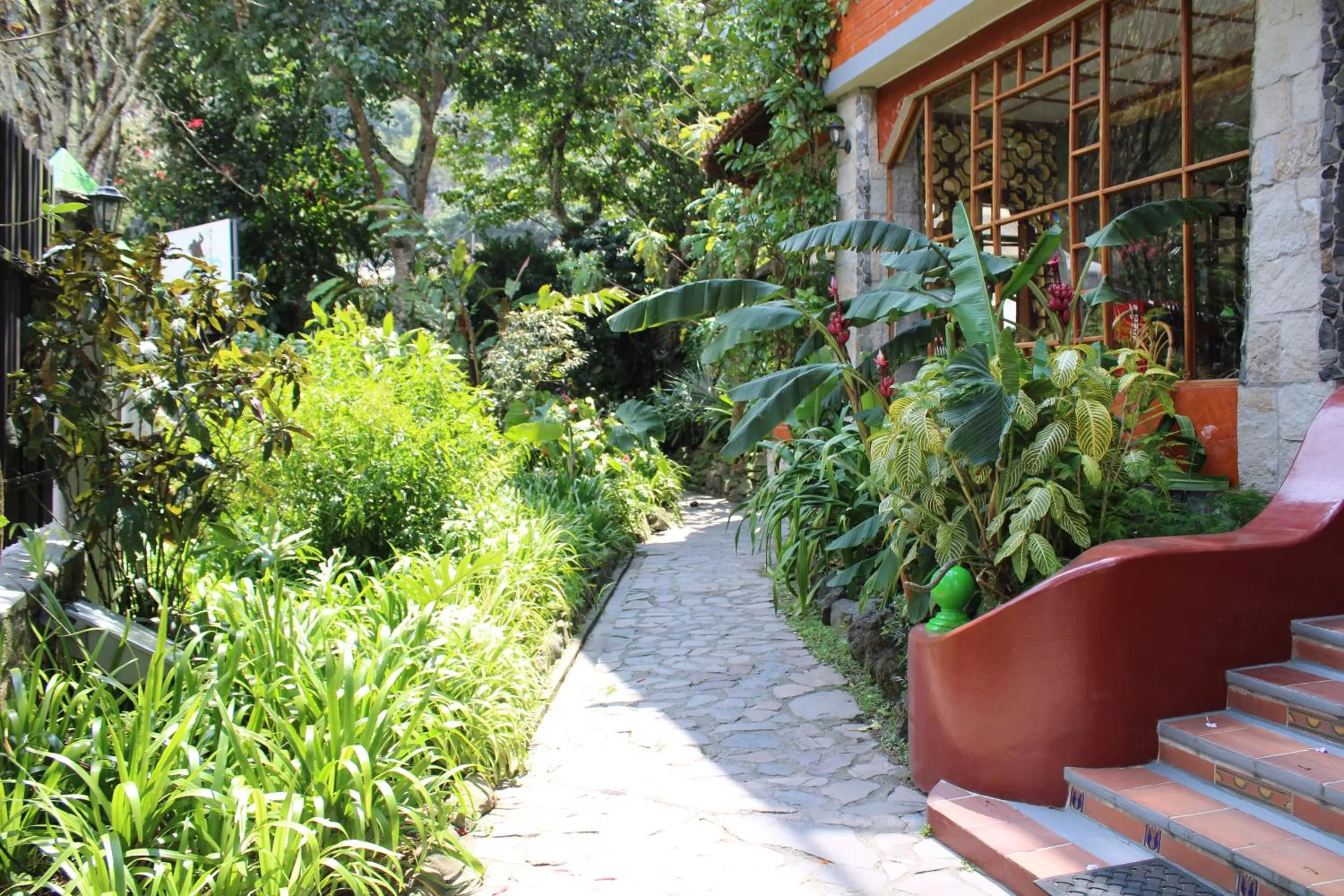 Garden in Hotel y Spa Isla de Baños