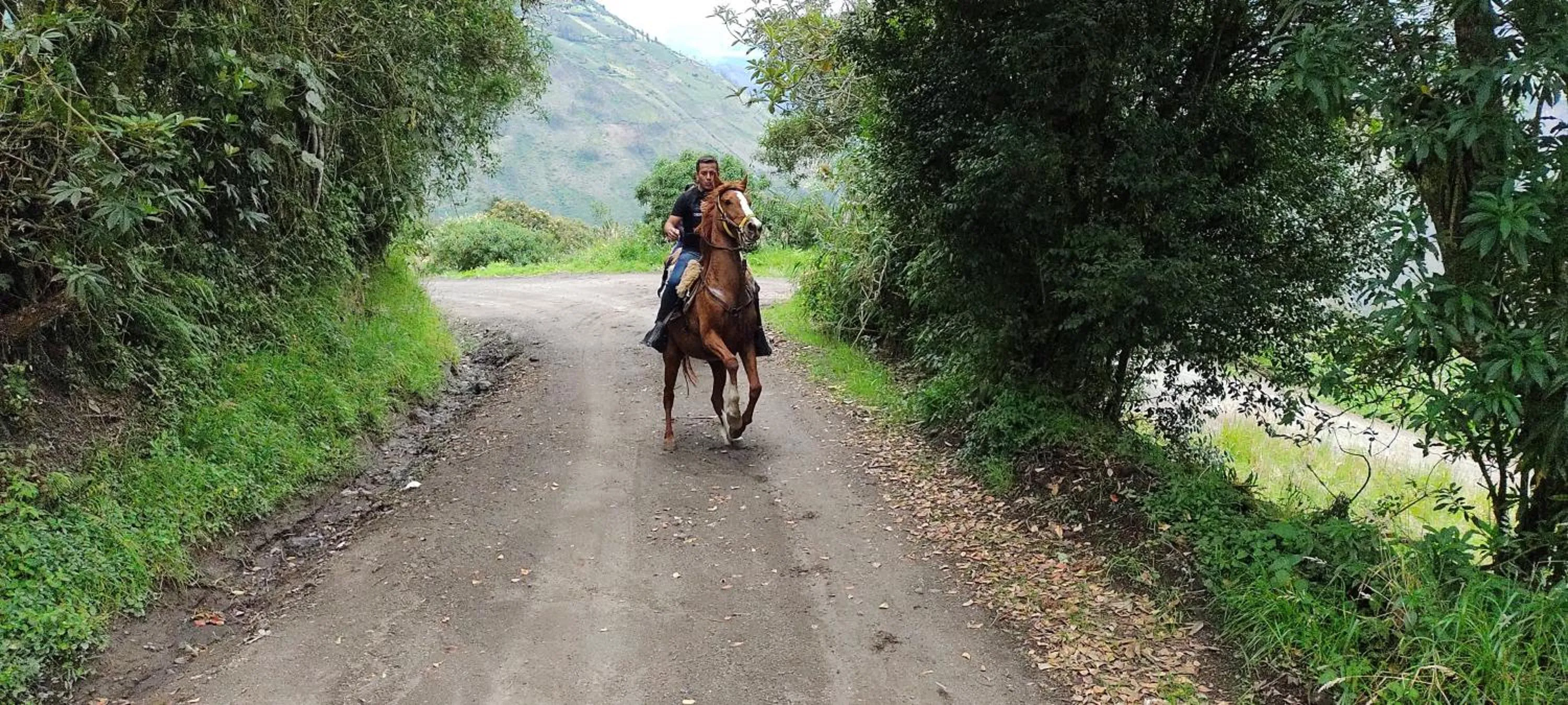 Horse-riding in Hotel y Spa Isla de Baños