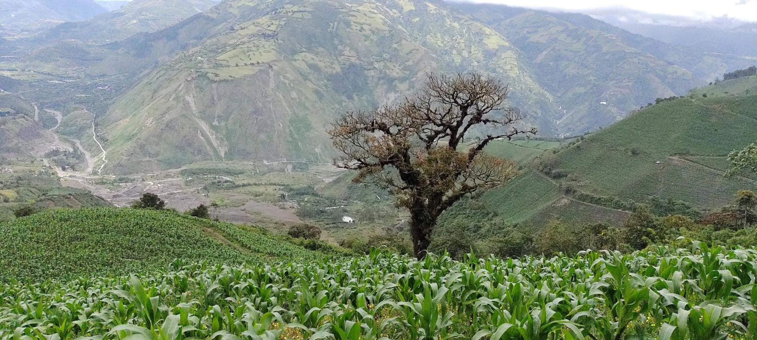 Horse-riding in Hotel y Spa Isla de Baños