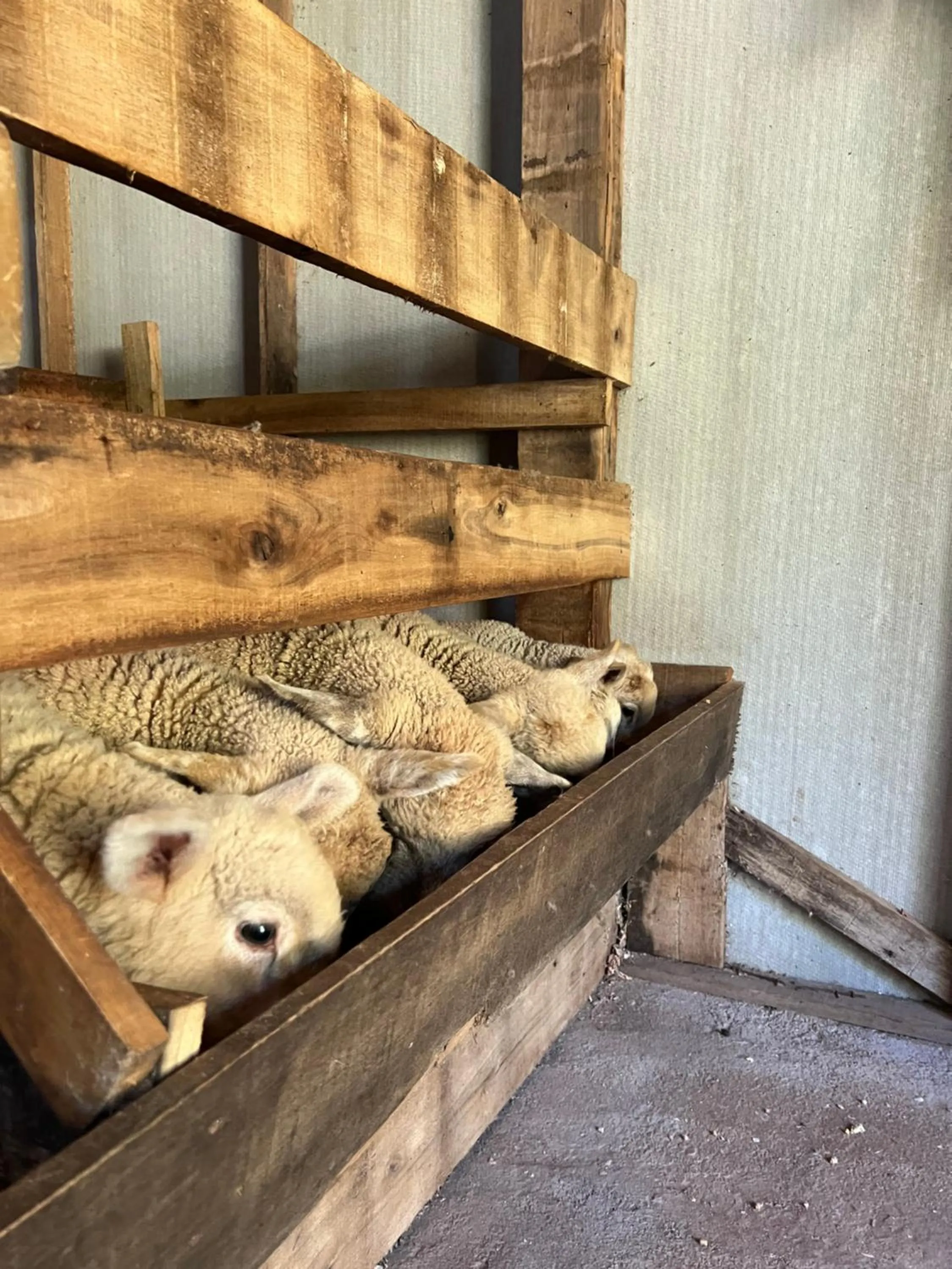 Property building in Pousada Maibe Amanhecer na Serra