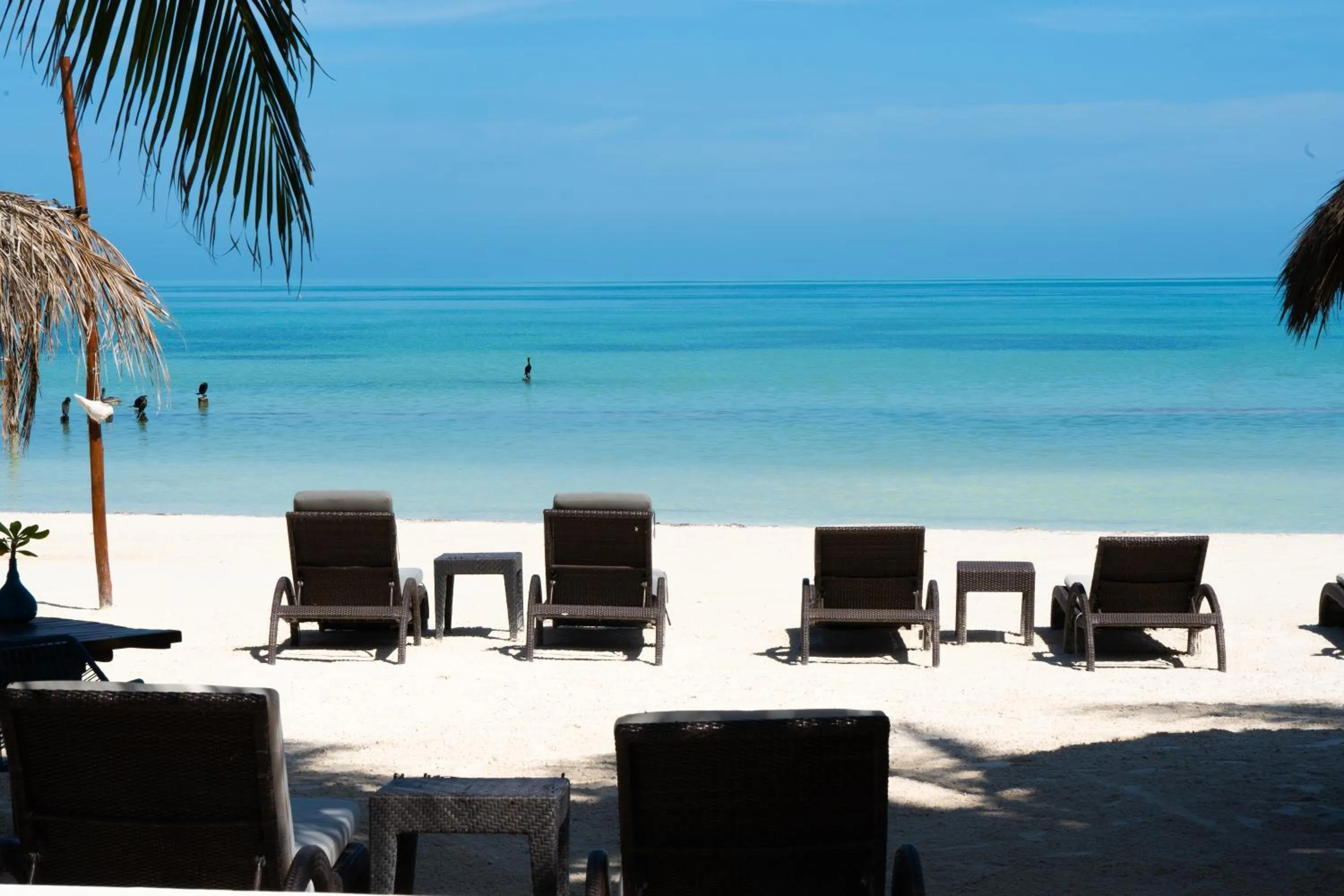 Beach in Hotel Boutique La Puerta Azul Beachfront - Adults Only