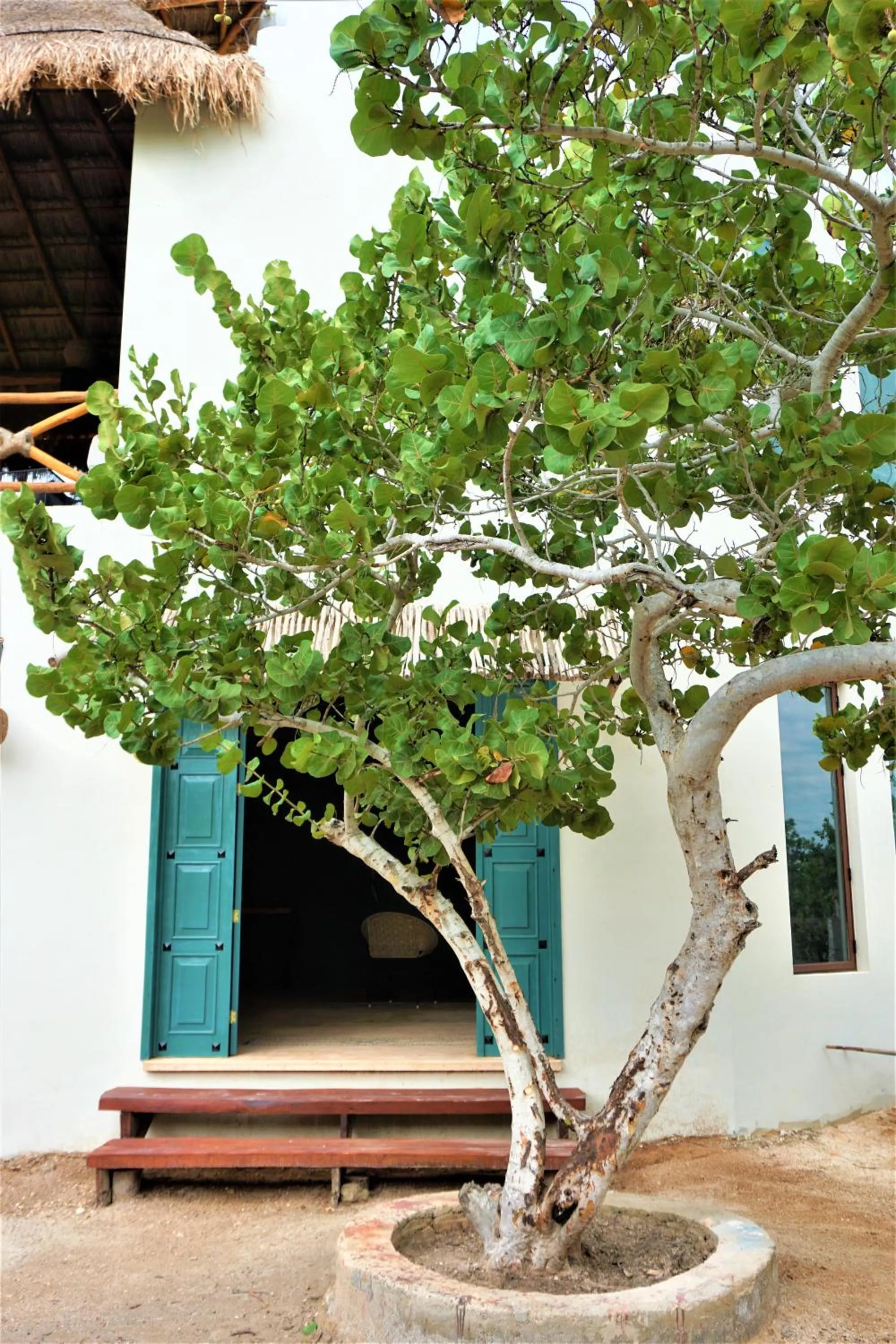 Property building in Hotel Boutique La Puerta Azul Beachfront - Adults Only