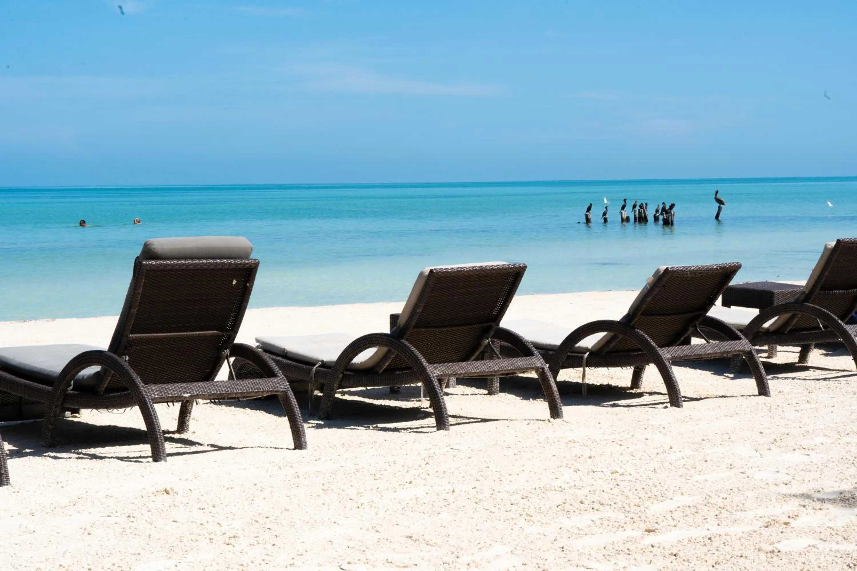 Beach in Hotel Boutique La Puerta Azul Beachfront - Adults Only