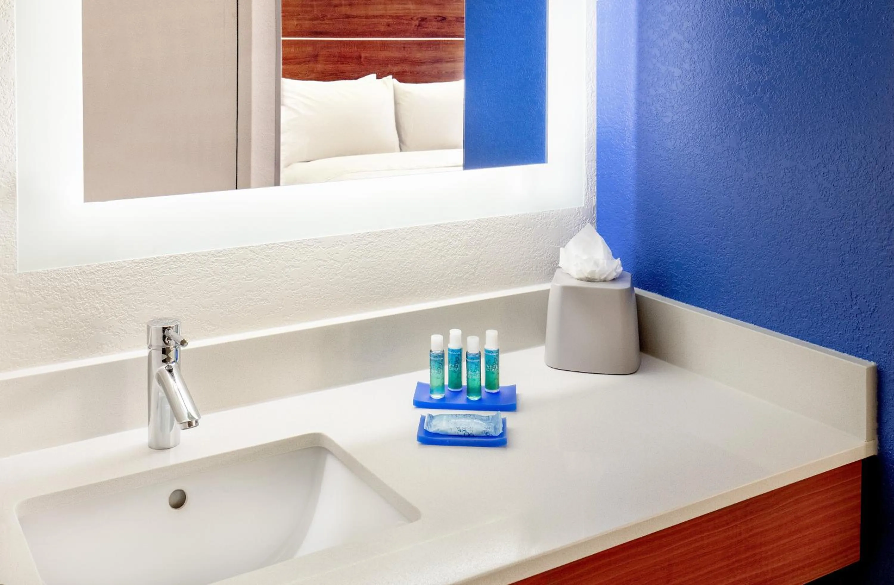 Bathroom in Holiday Inn Express Chesapeake - Norfolk by IHG