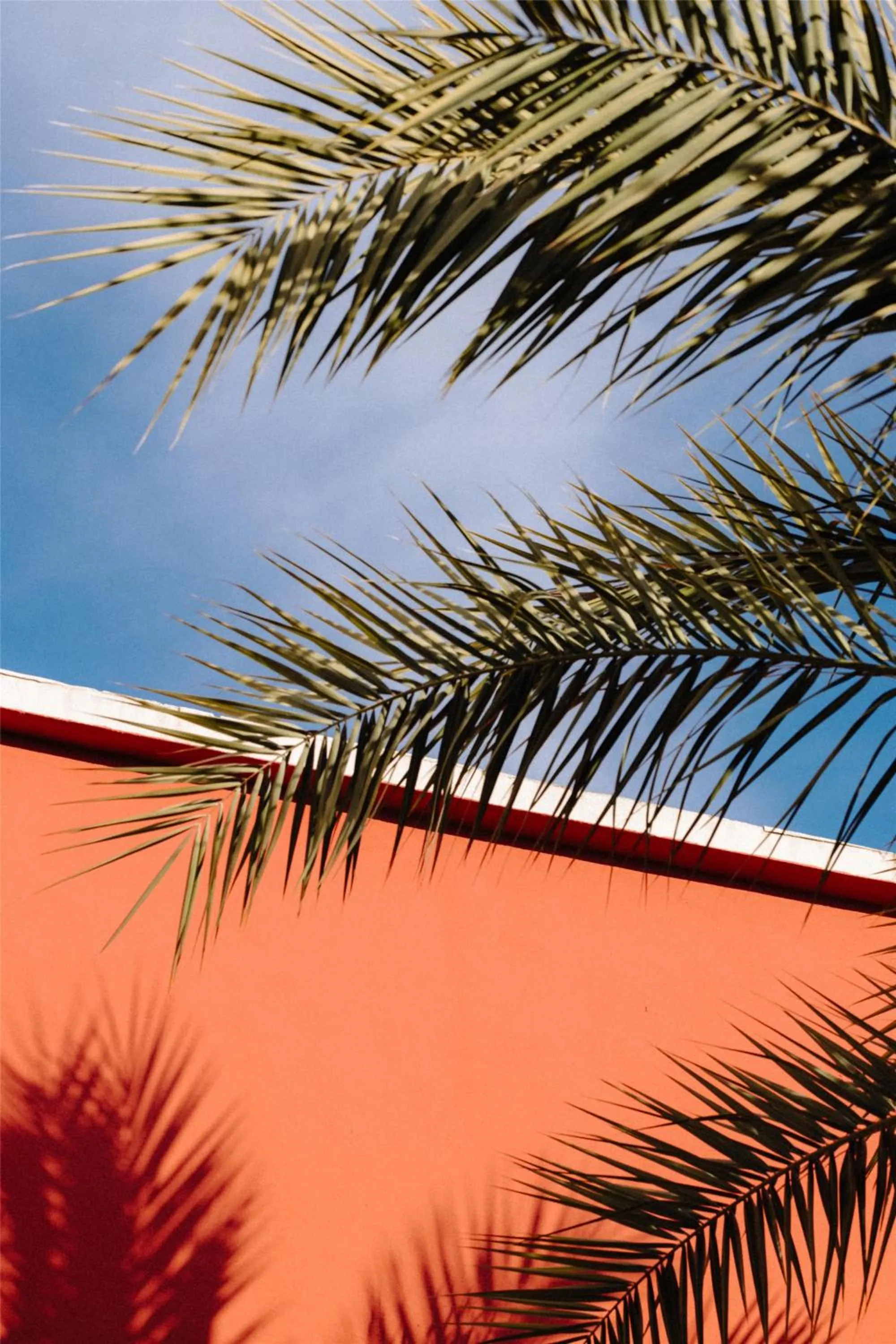 Property building in Hyatt Regency Nice Palais de la Méditerranée
