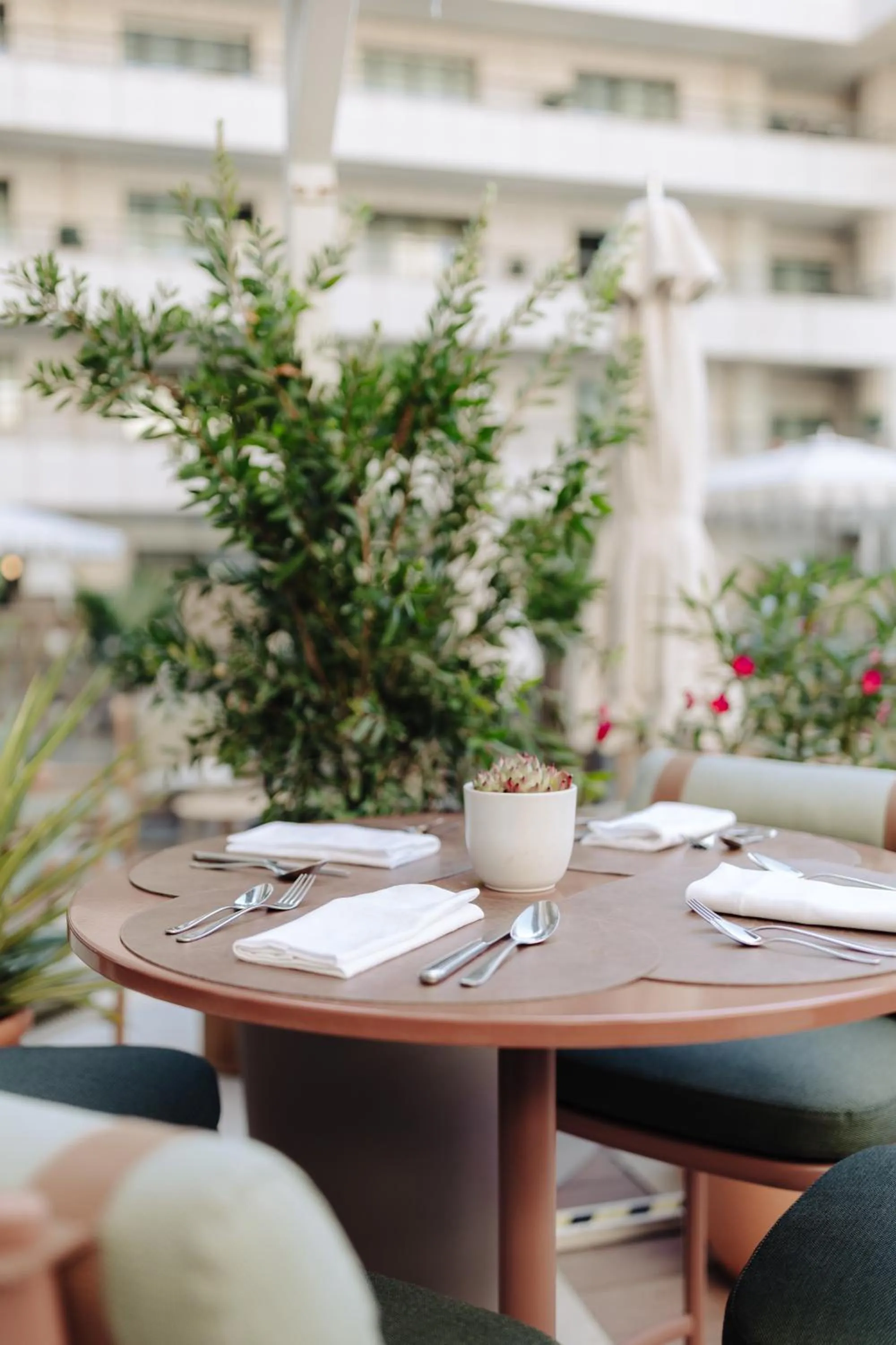 Restaurant/places to eat in Hyatt Regency Nice Palais de la Méditerranée