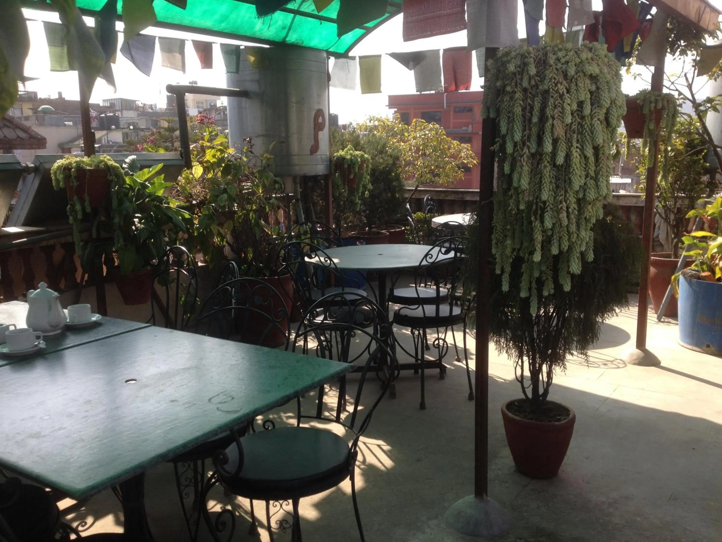 Garden in Kathmandu Peace Guesthouse